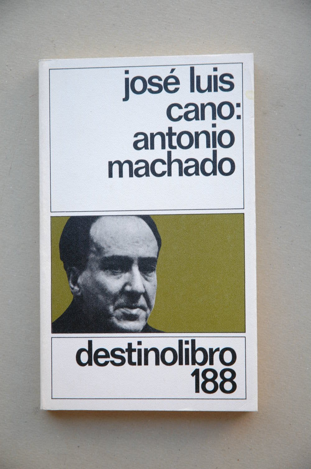 Antonio machado