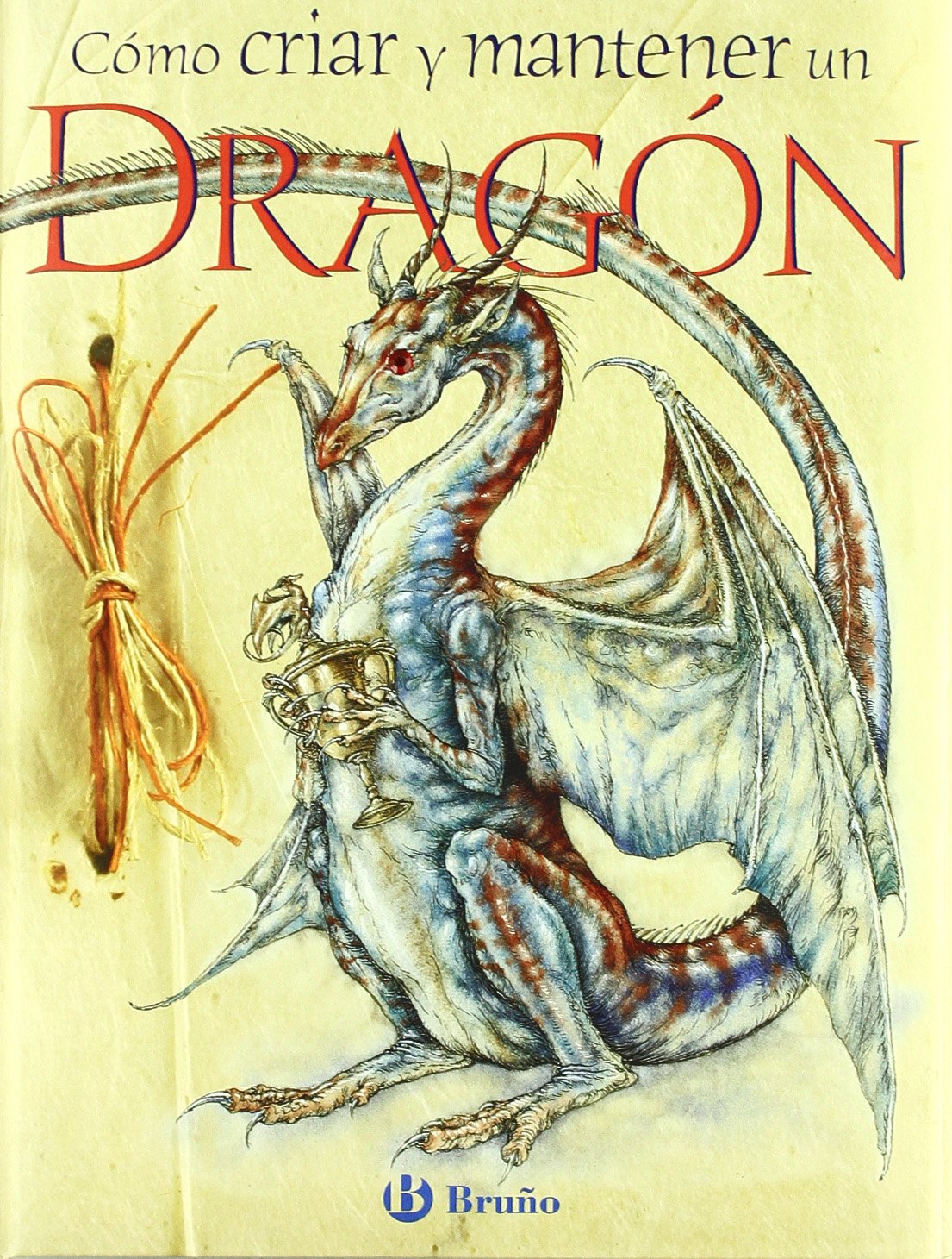 Cómo criar y mantener un dragón (Castellano - Bruño - Albumes - Albumes Deluxe)