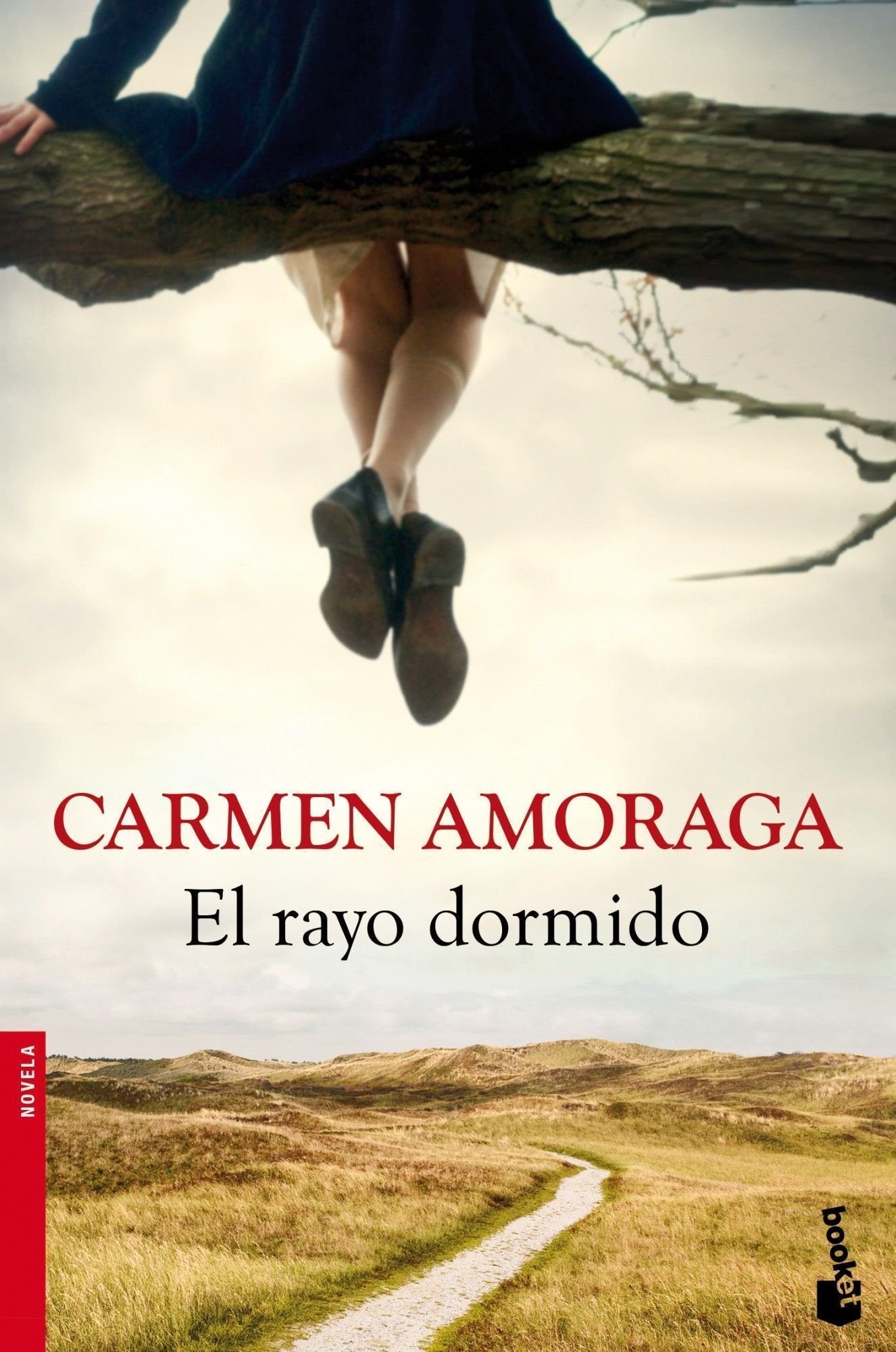 El rayo dormido (Novela)