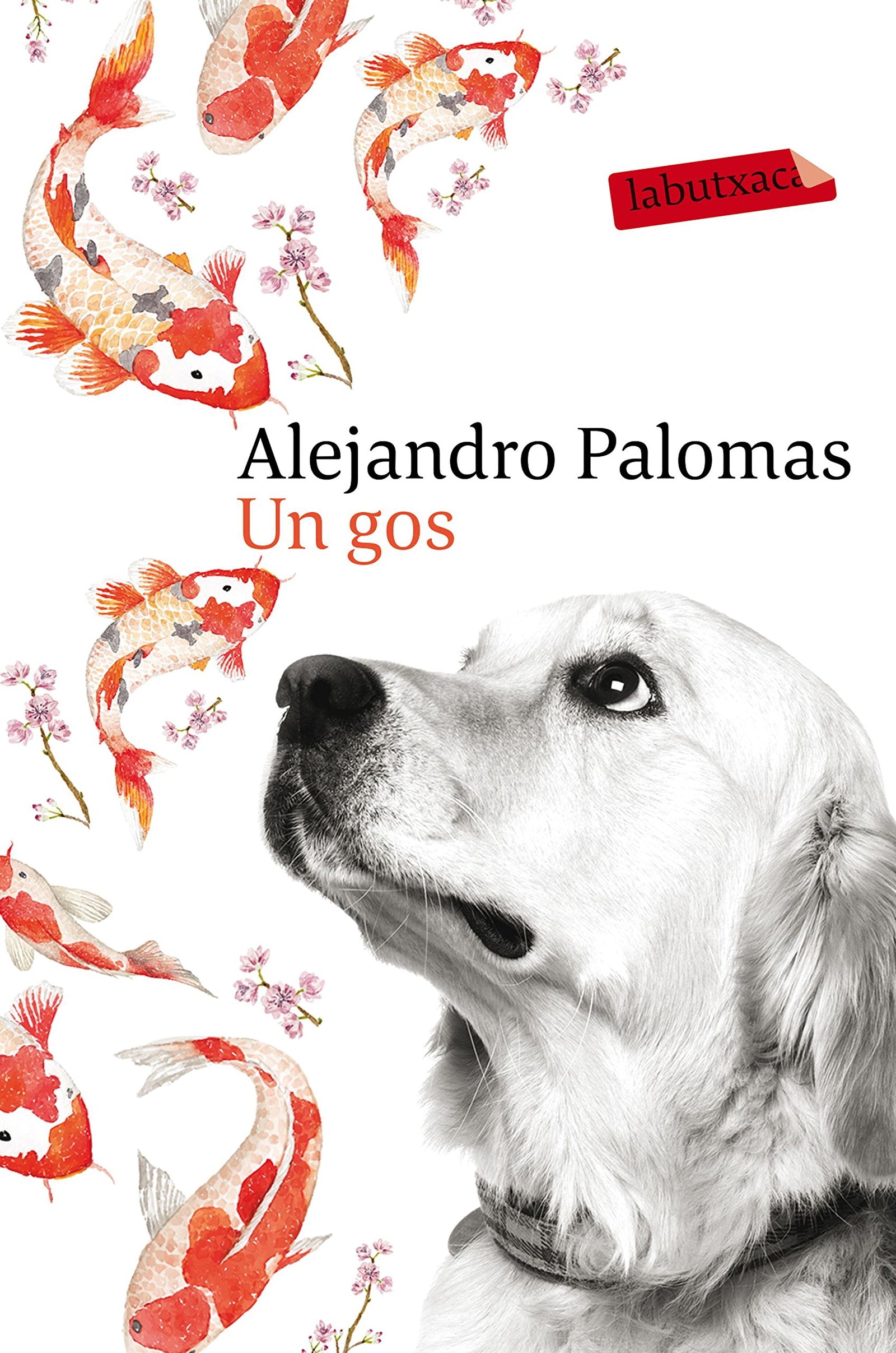 Un gos (LABUTXACA)