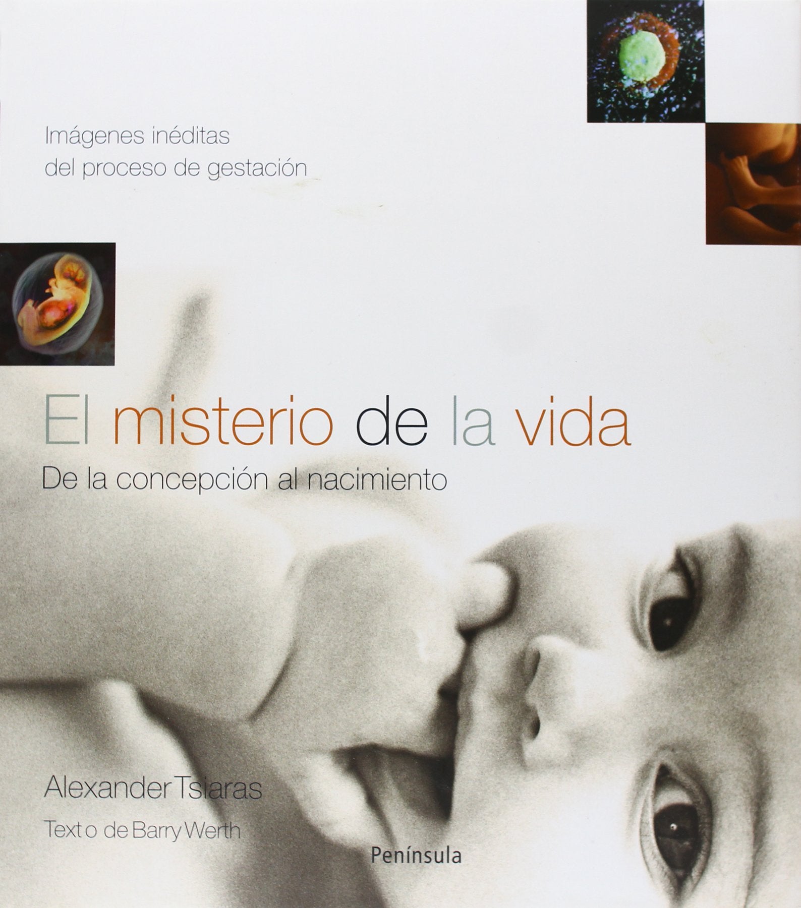 El misterio de la vida