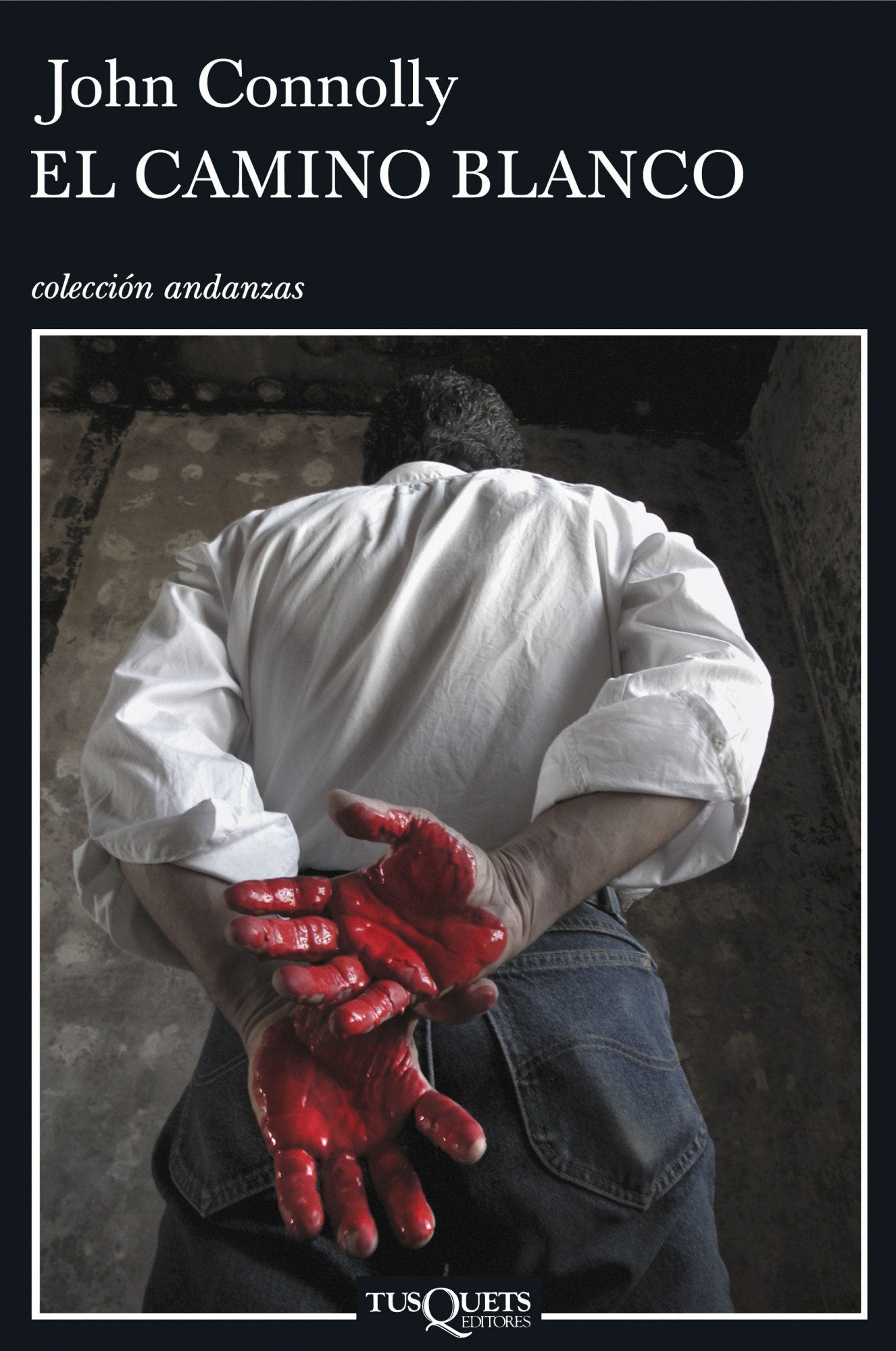 El camino blanco: 4 (Andanzas)