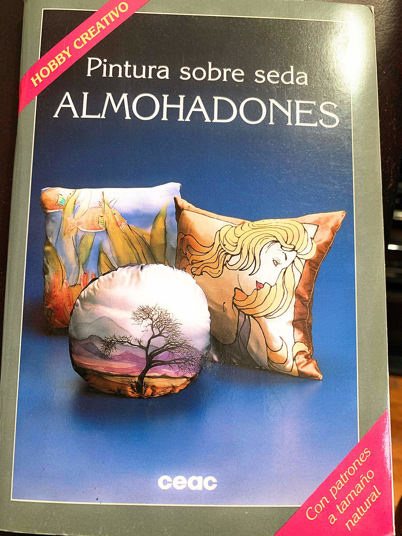 Pintando sobre seda : almohadones