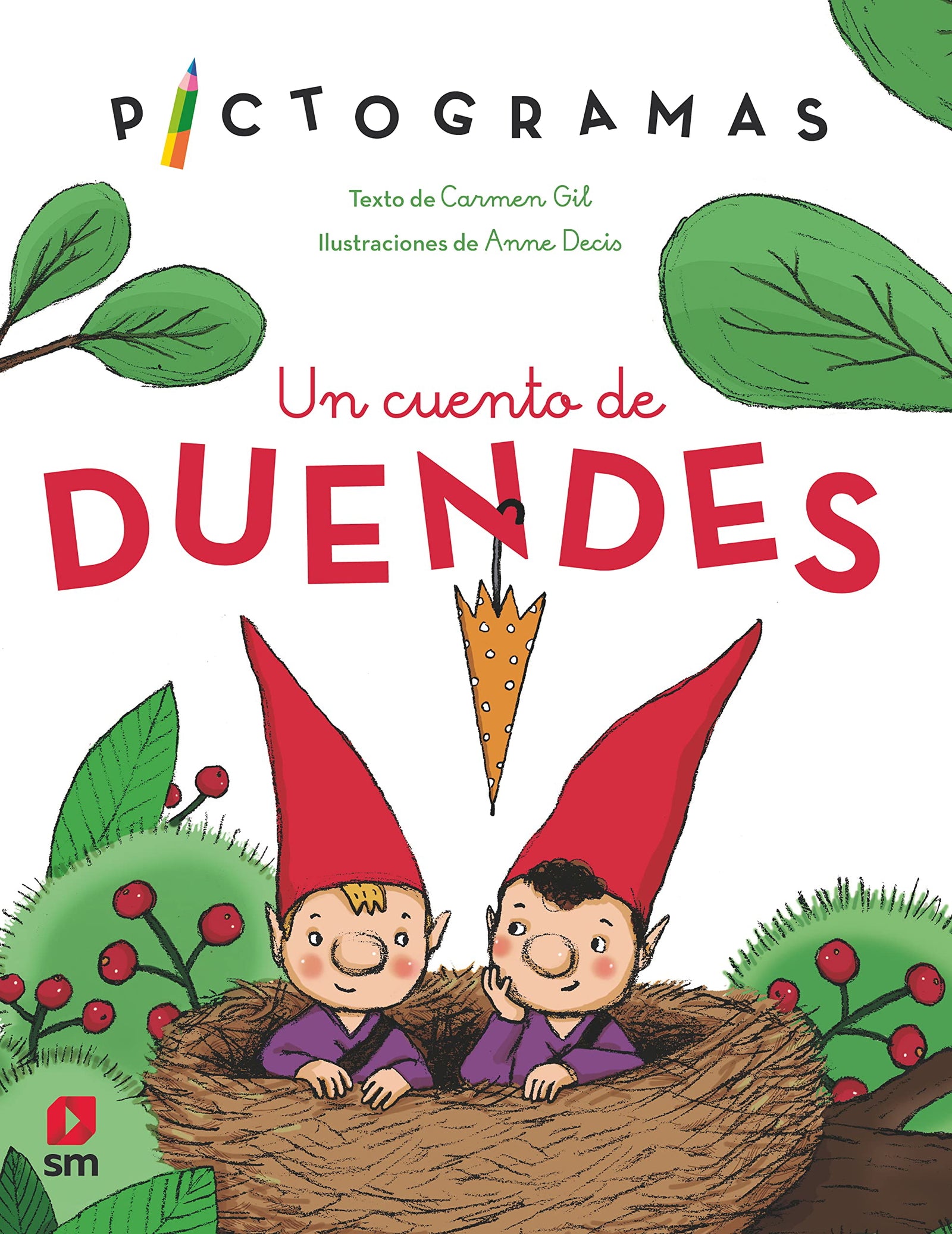 Un cuento de duendes (Pictogramas)