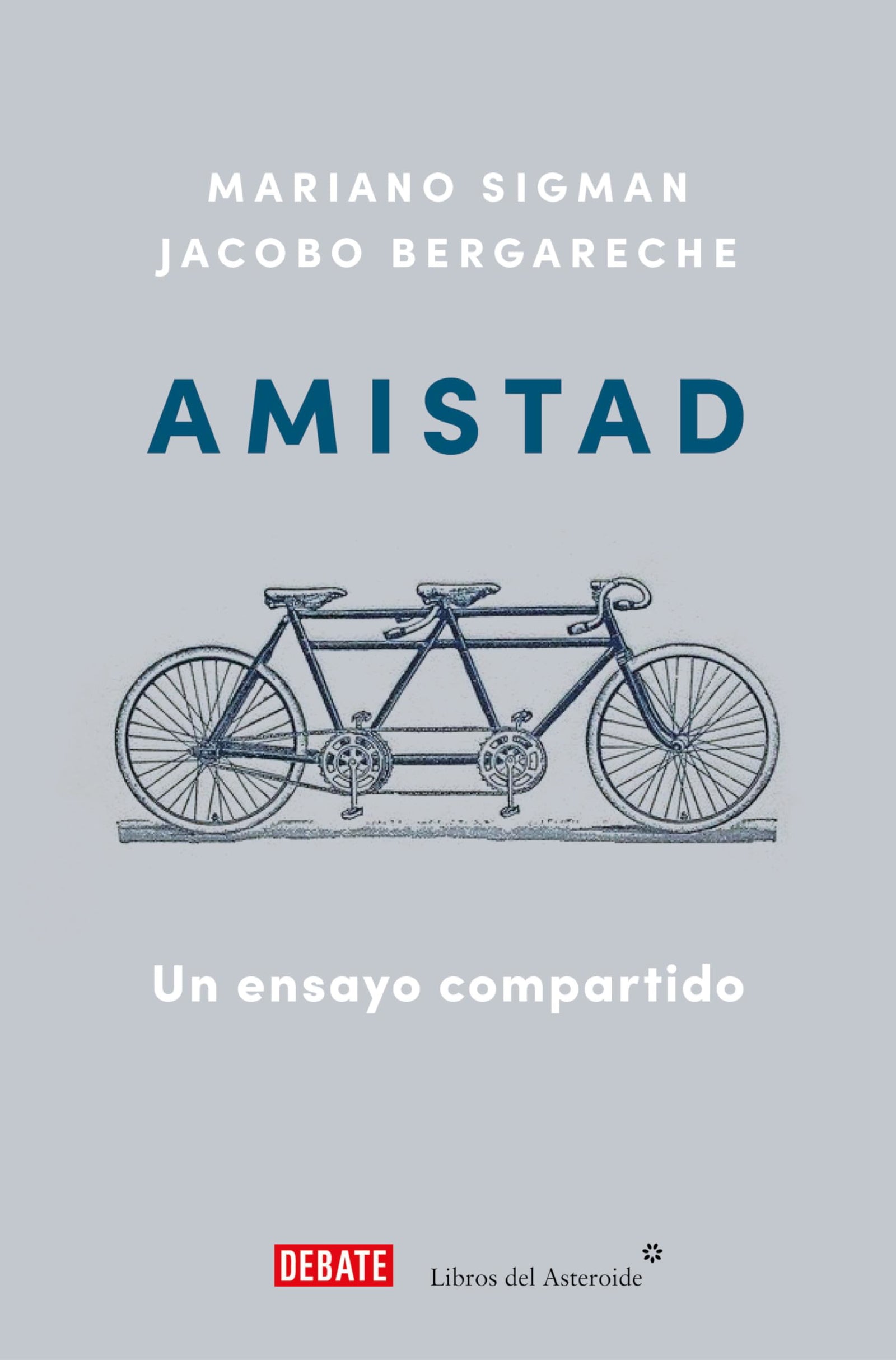 Amistad: Un ensayo compartido (Ensayo y Pensamiento)