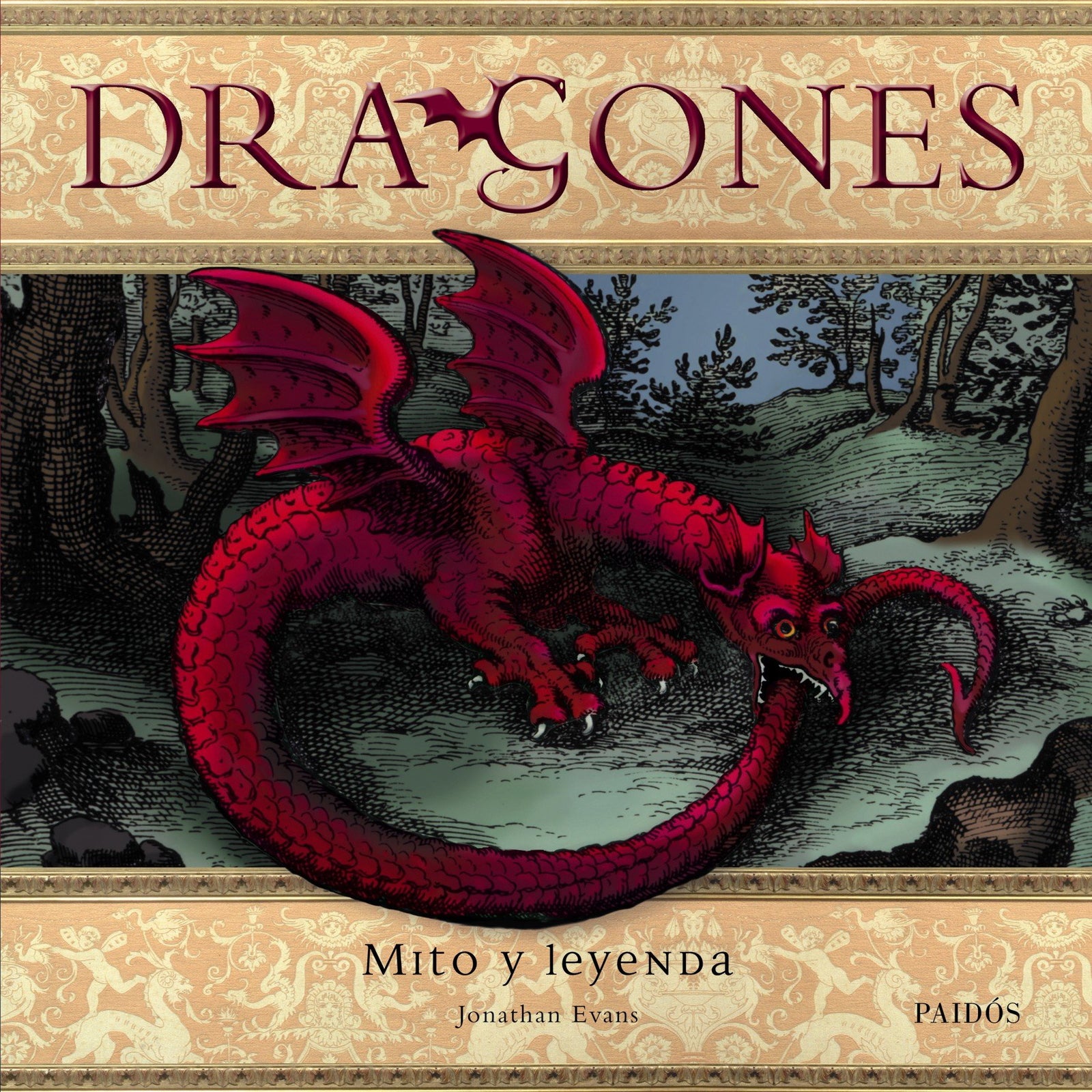 Dragones: 1 (Libros Singulares)