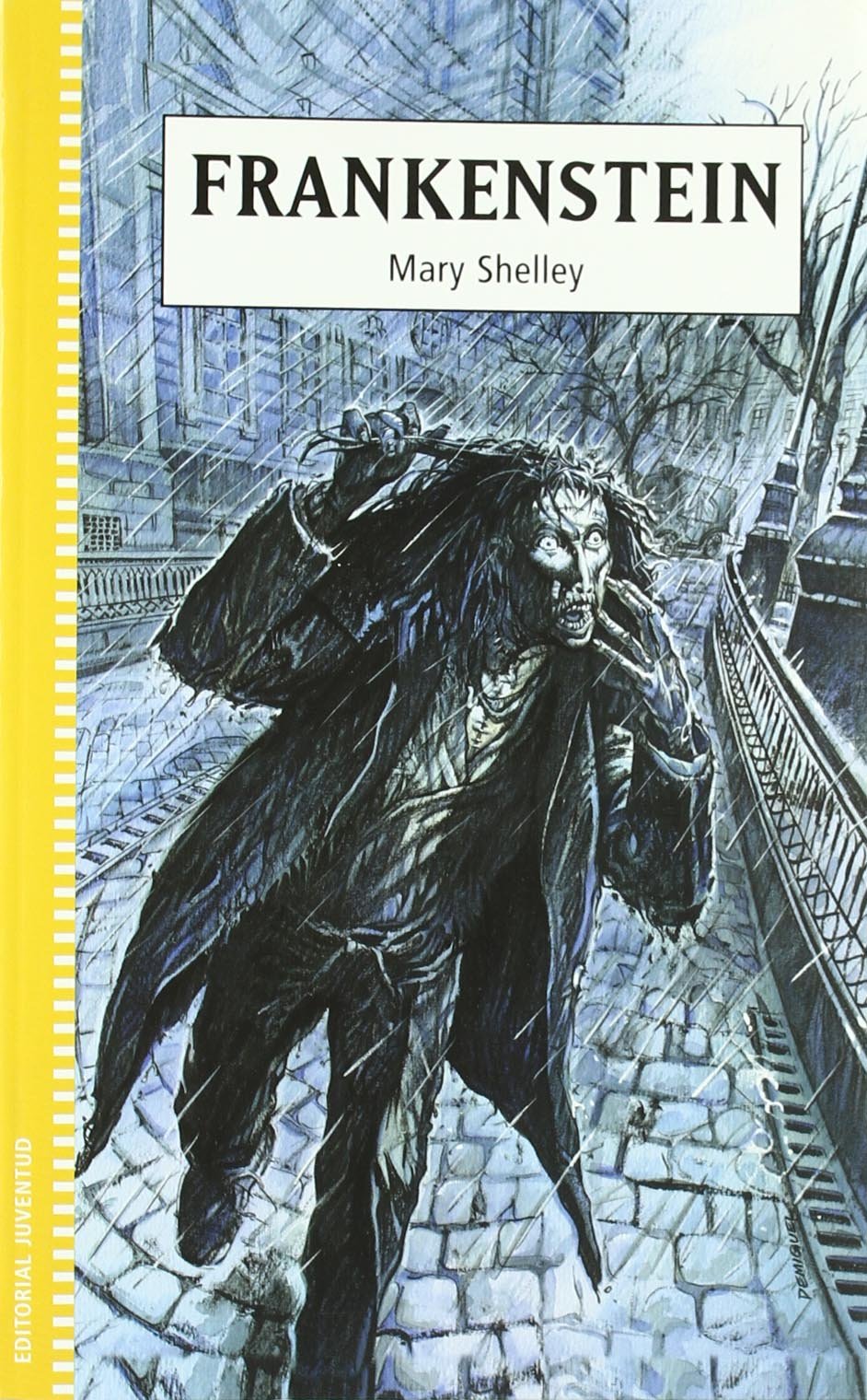 FRANKENSTEIN (COLECCION JUVENTUD)
