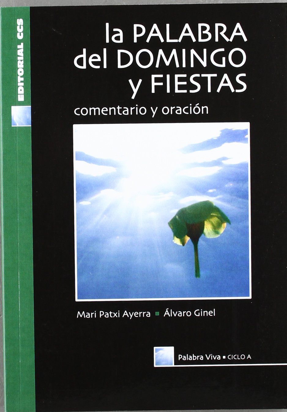 La palabra del domingo y fiestas. Ciclo A: Comentario y oración: 24 (Palabra viva)