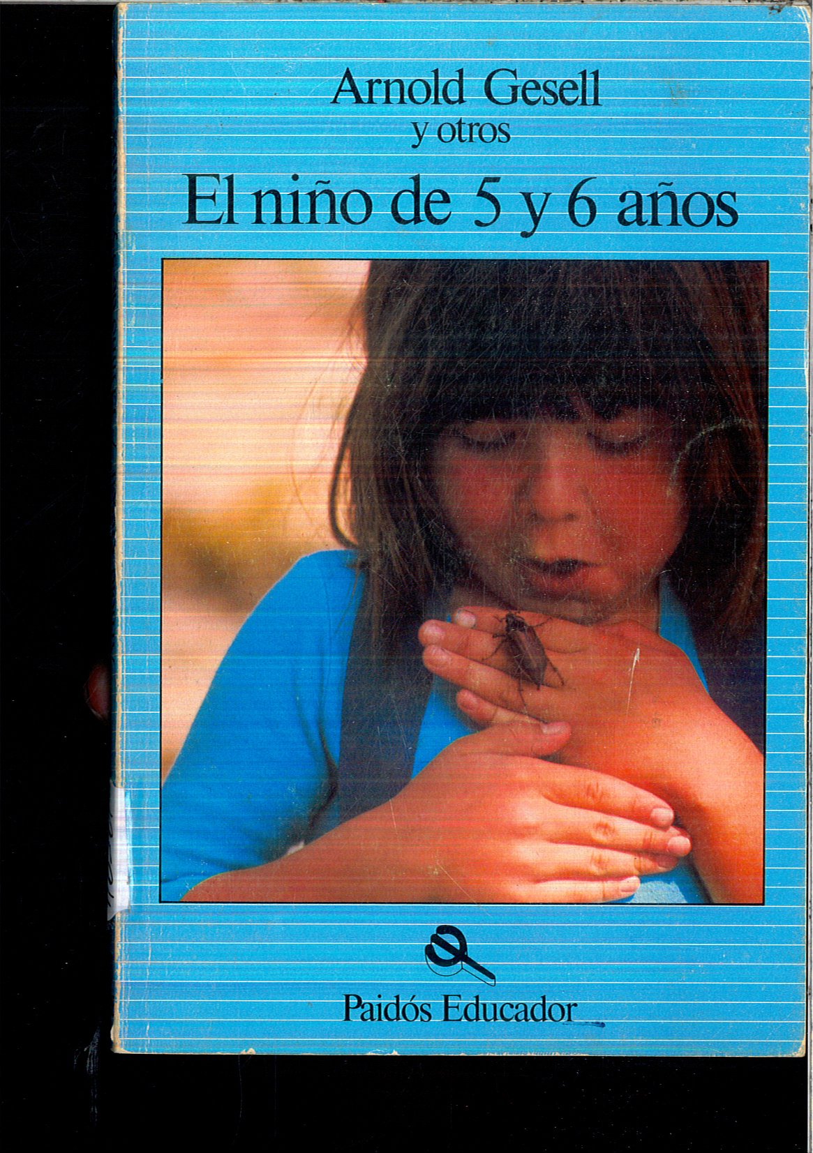 El Niño de 5 y 6 años