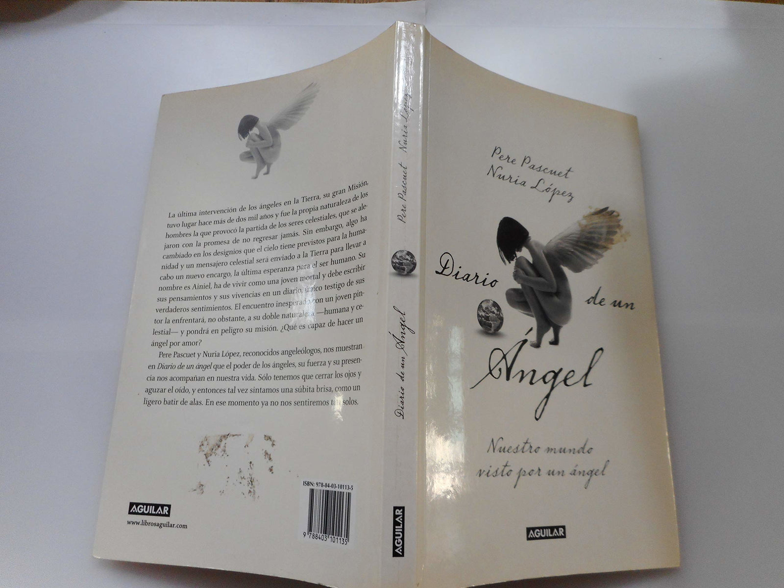 Diario de un ángel (Cuerpo y mente)