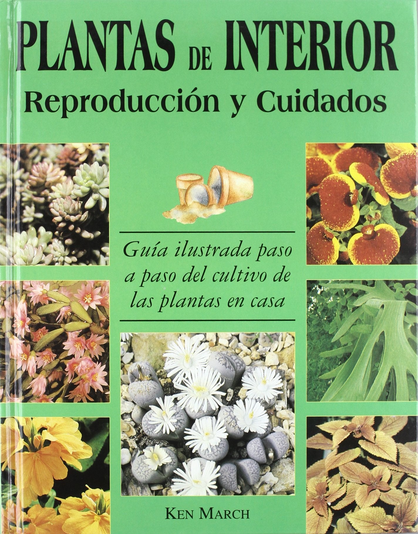 PLANTAS DE INTERIOR-REPRODUCC.Y CUIDADOS (SIN COLECCION)
