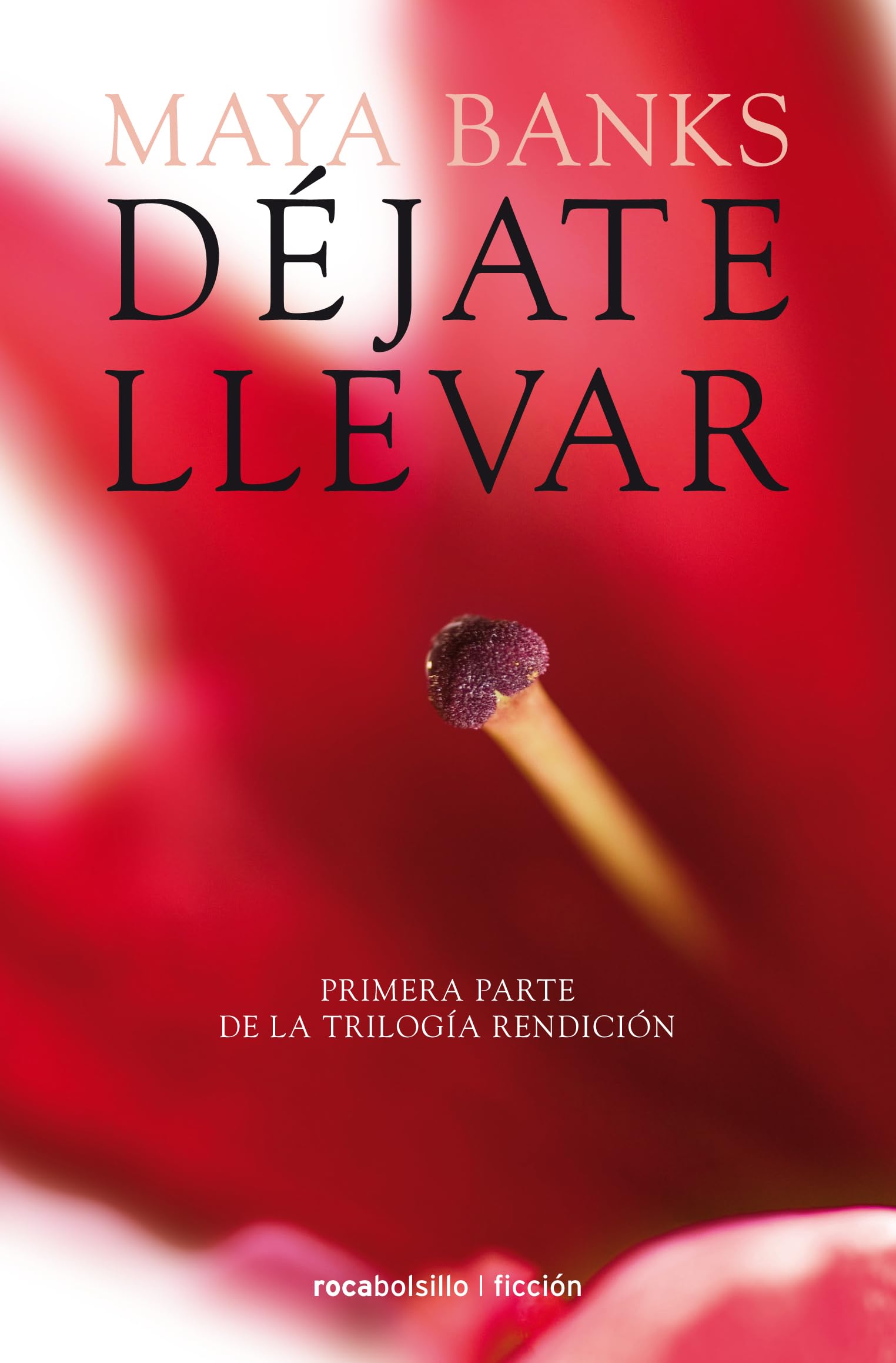 Déjate llevar