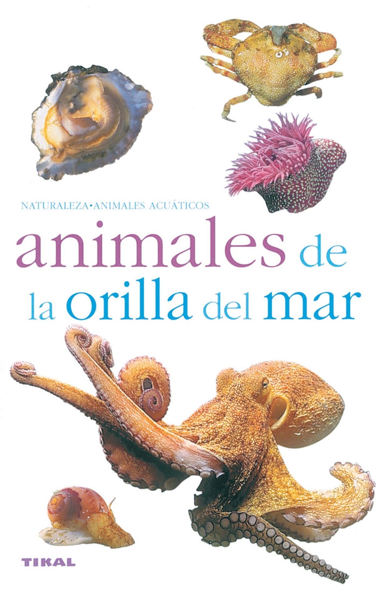 Animales De La Orilla Del Mar (Naturaleza)
