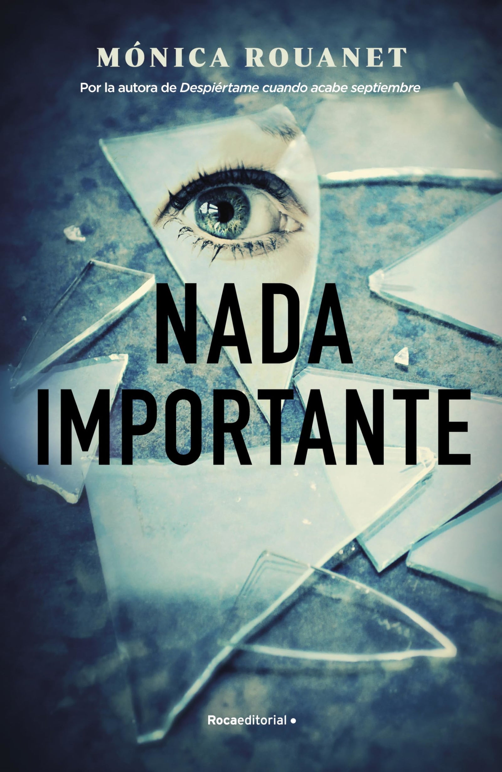 Nada importante (Novela)