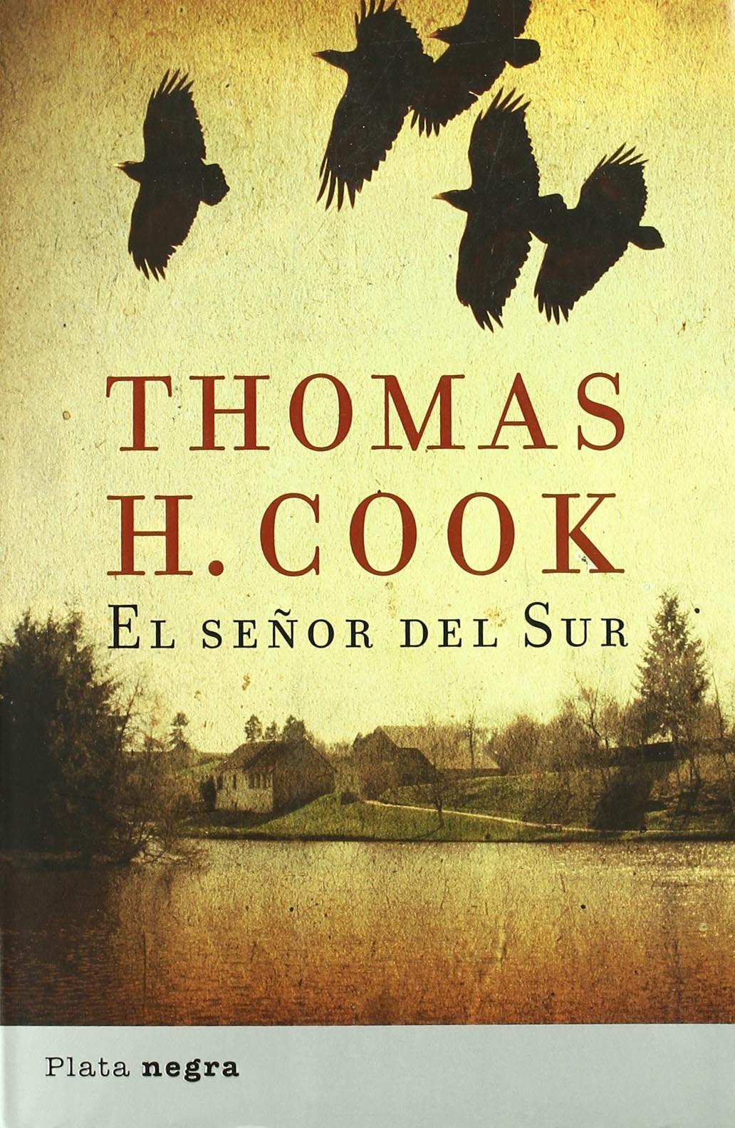 El señor del sur (Plata negra)