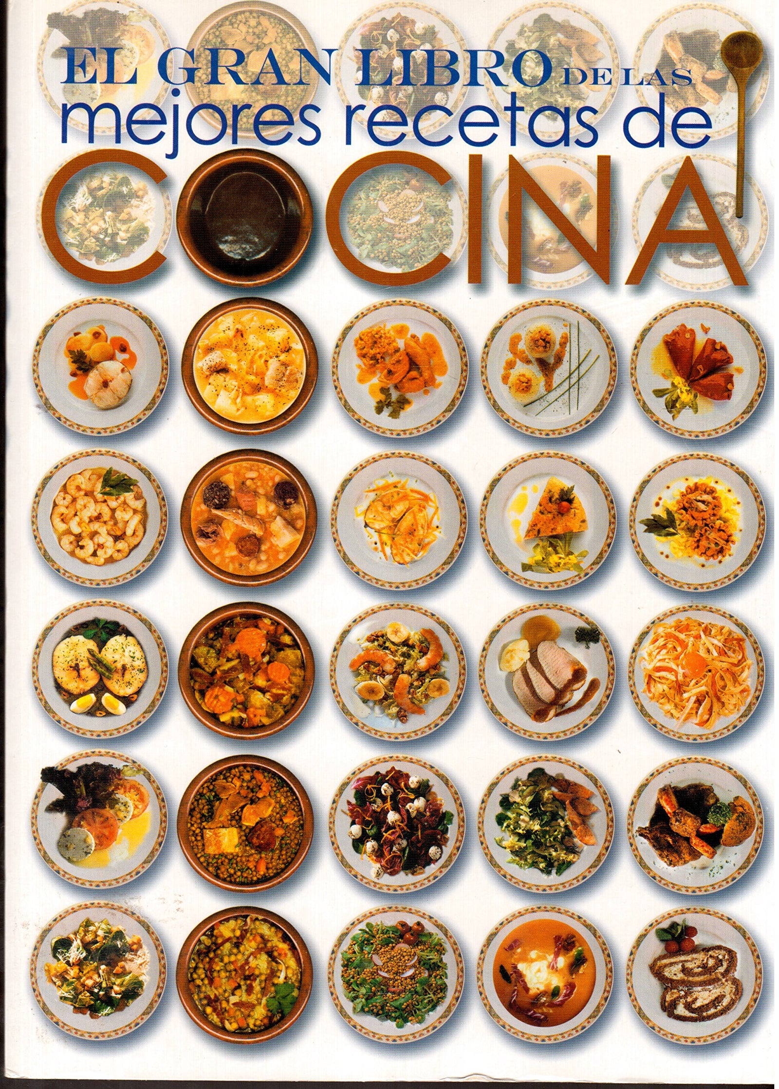 El gran libro de las recetas de cocina (Coleccion El Gran Libro De...)