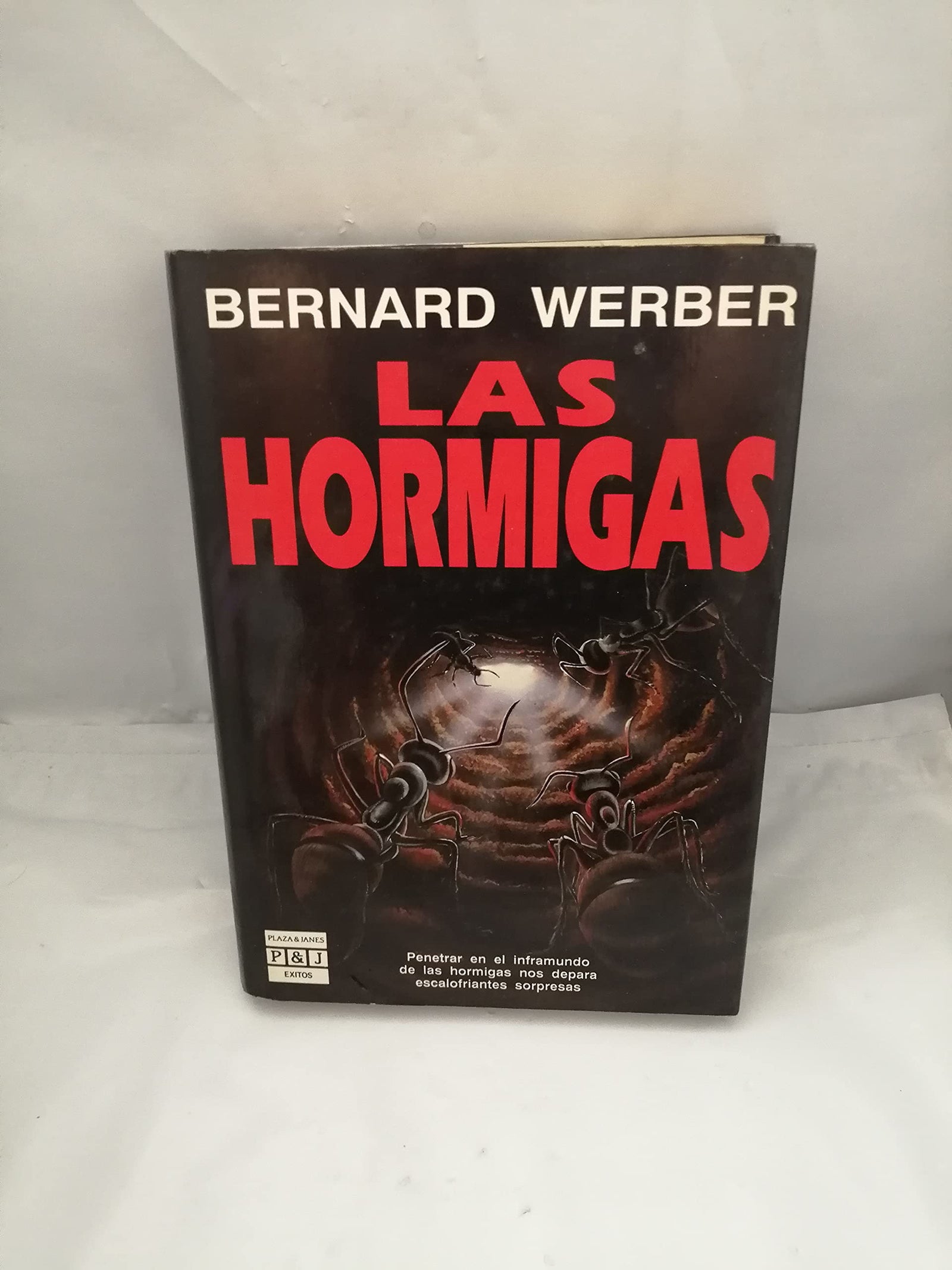 Las hormigas