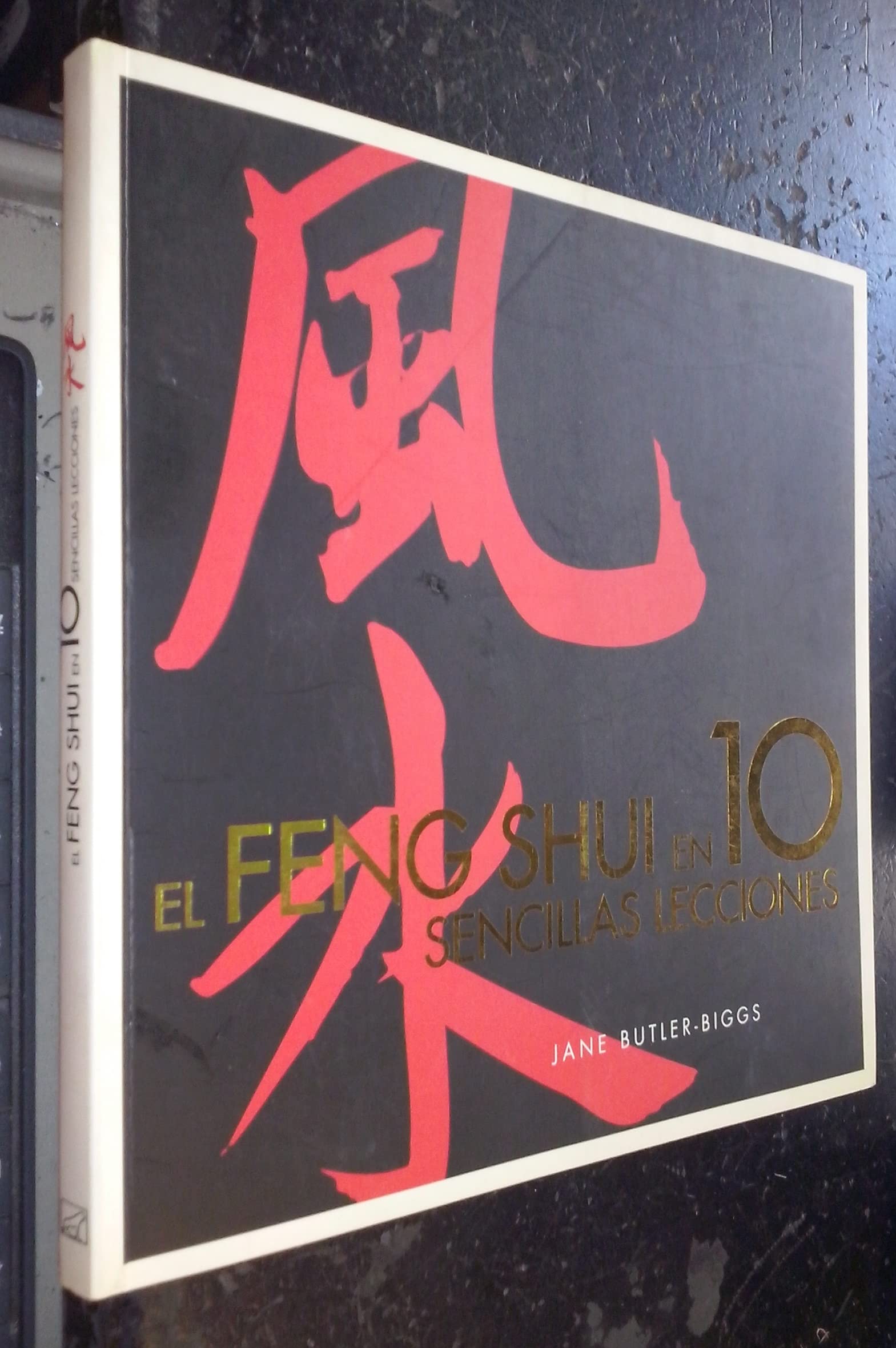 FENG SHUI EN 10 SENCILLAS LECCIONES, EL: 00000 (ILUSTRADOS VERGARA)