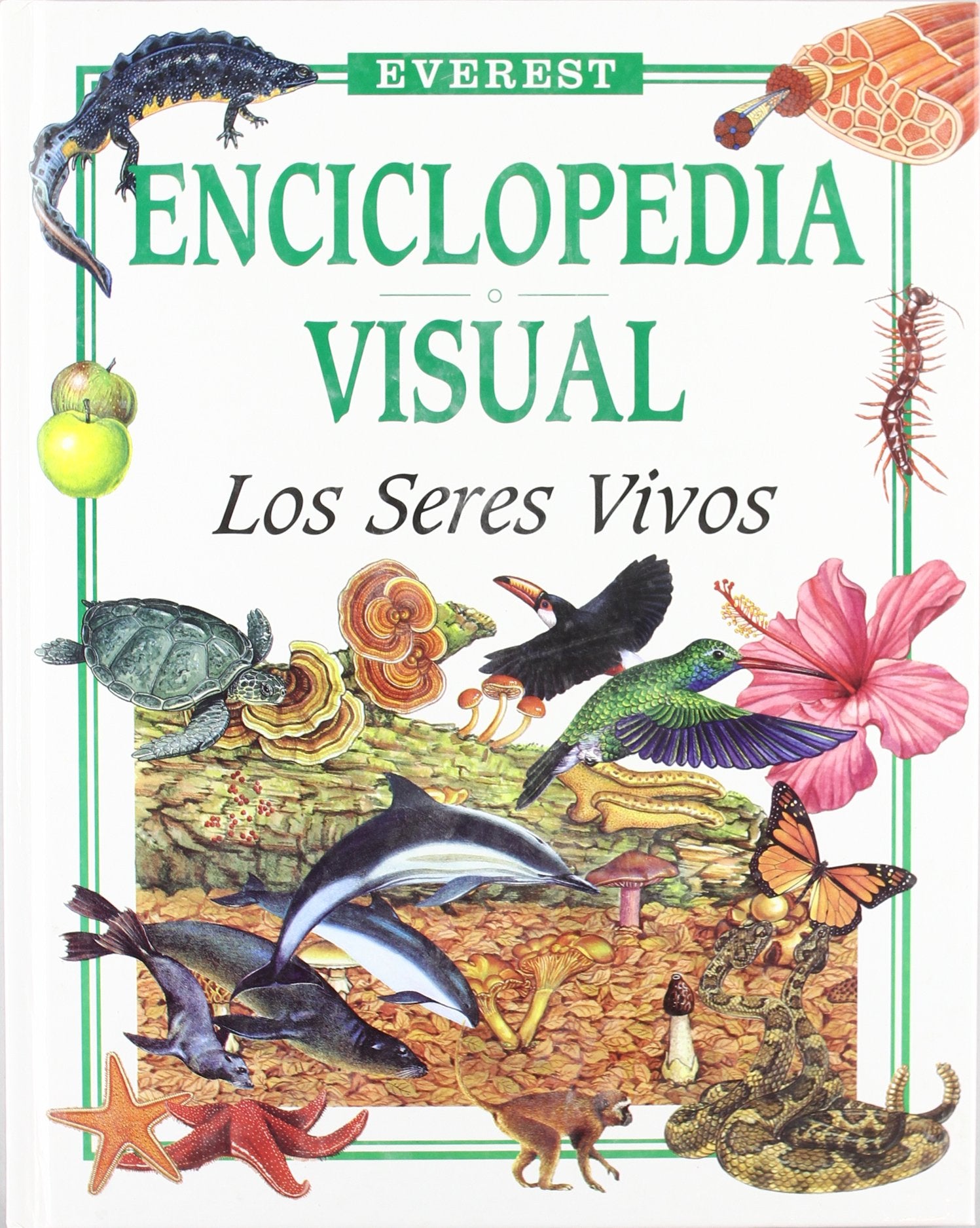 Los Seres Vivos (Enciclopedia visual)