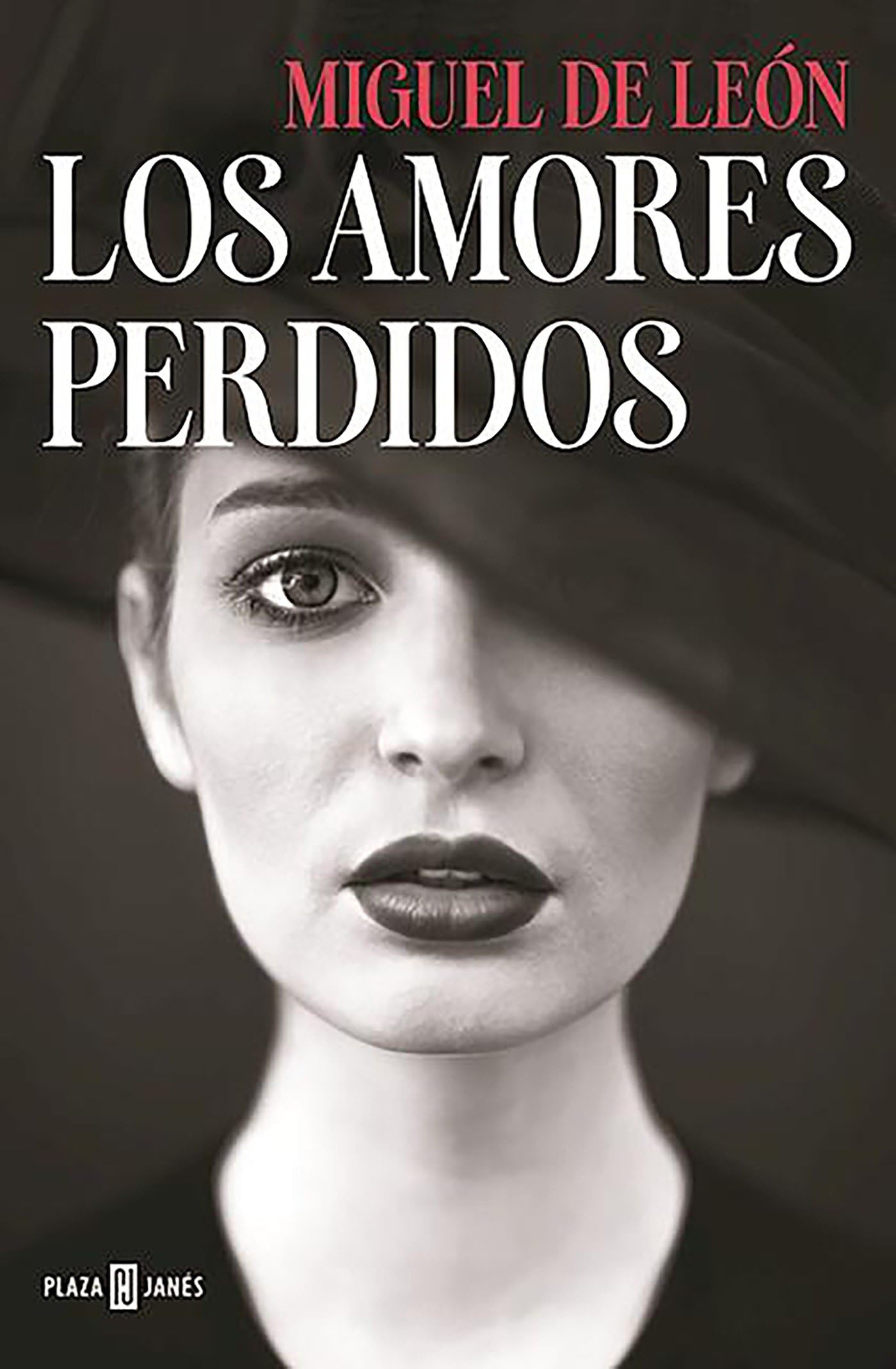 Los amores perdidos (Éxitos)