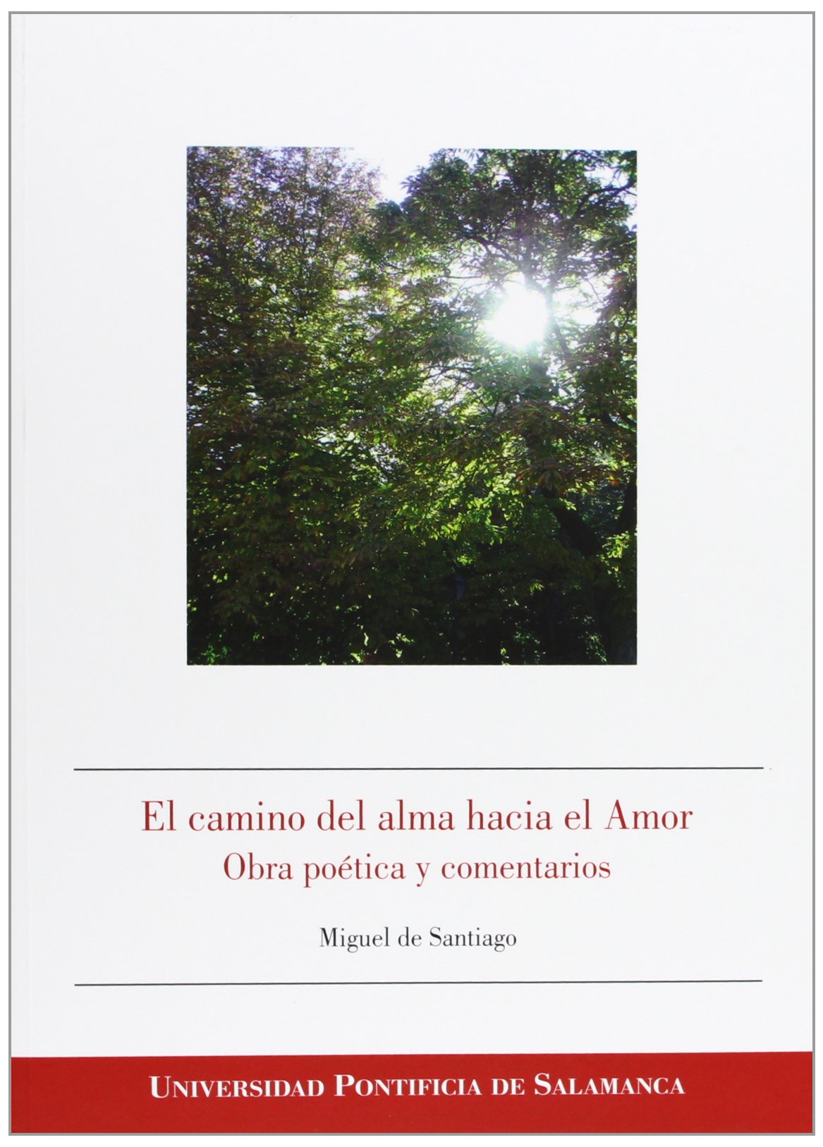 El camino del alma hacia el Amor: Obra poética y comentarios: Obra Poetica y Comentarios (Bibliotheca Salmanticensis)