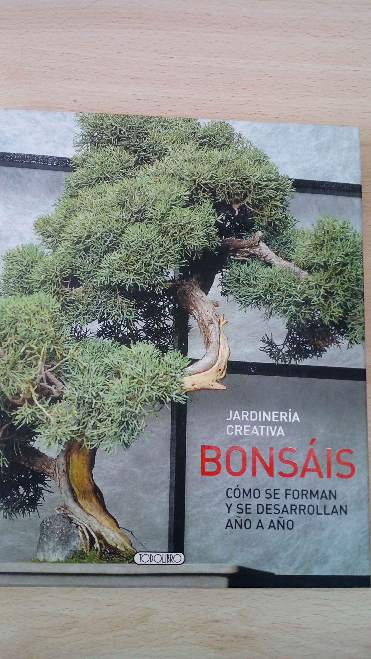 Bonsais - jardineria creativa
