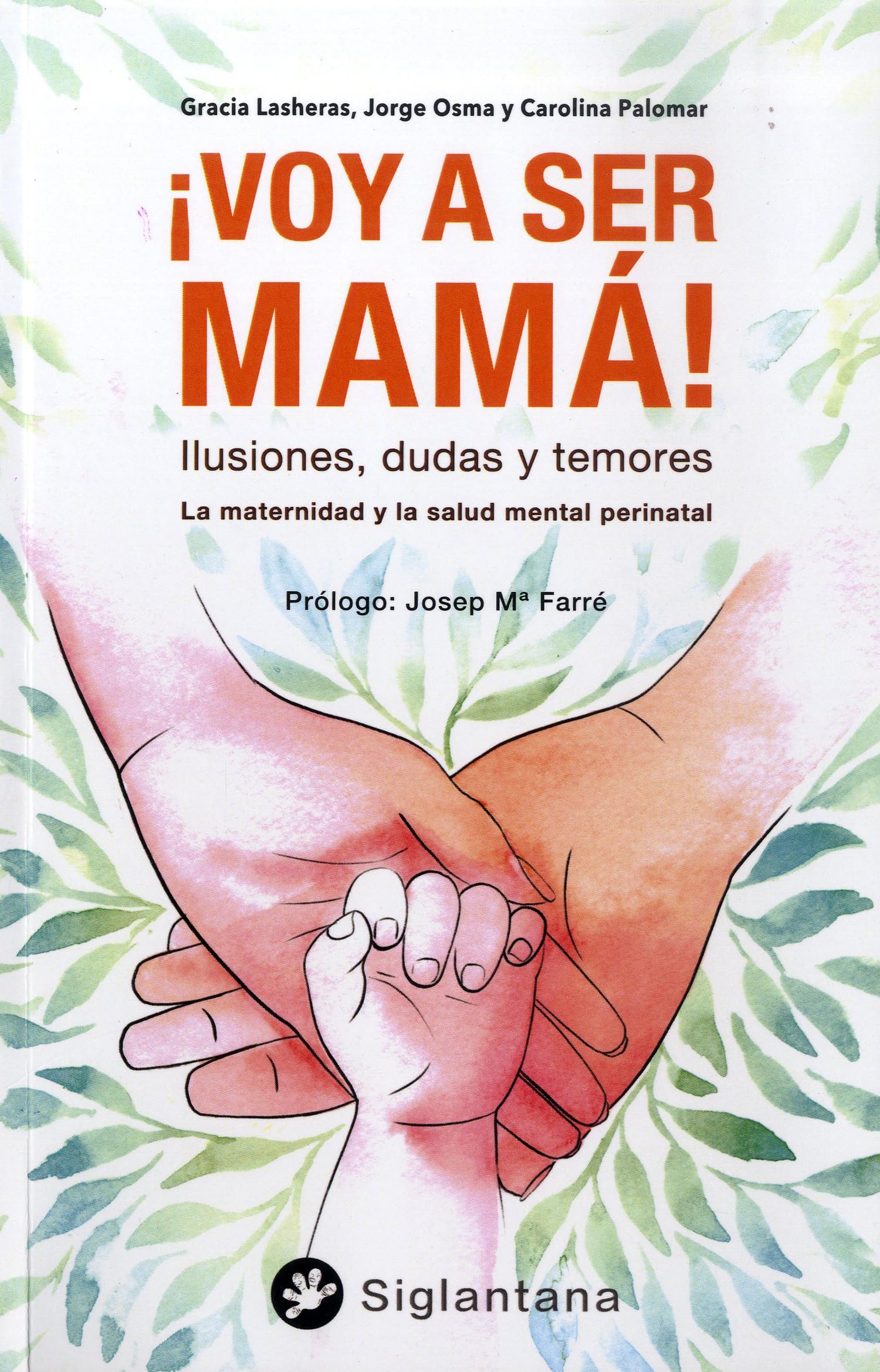 La maternidad y la salud mental perinatal: Temores, dudas e ilusiones (SIN COLECCION)