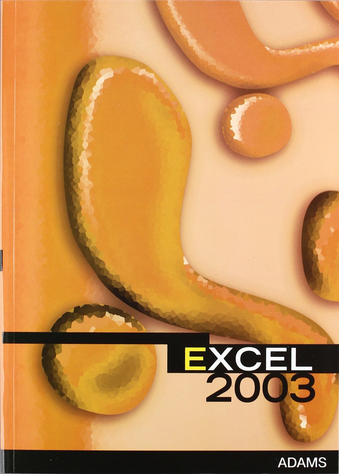 Excel 2003