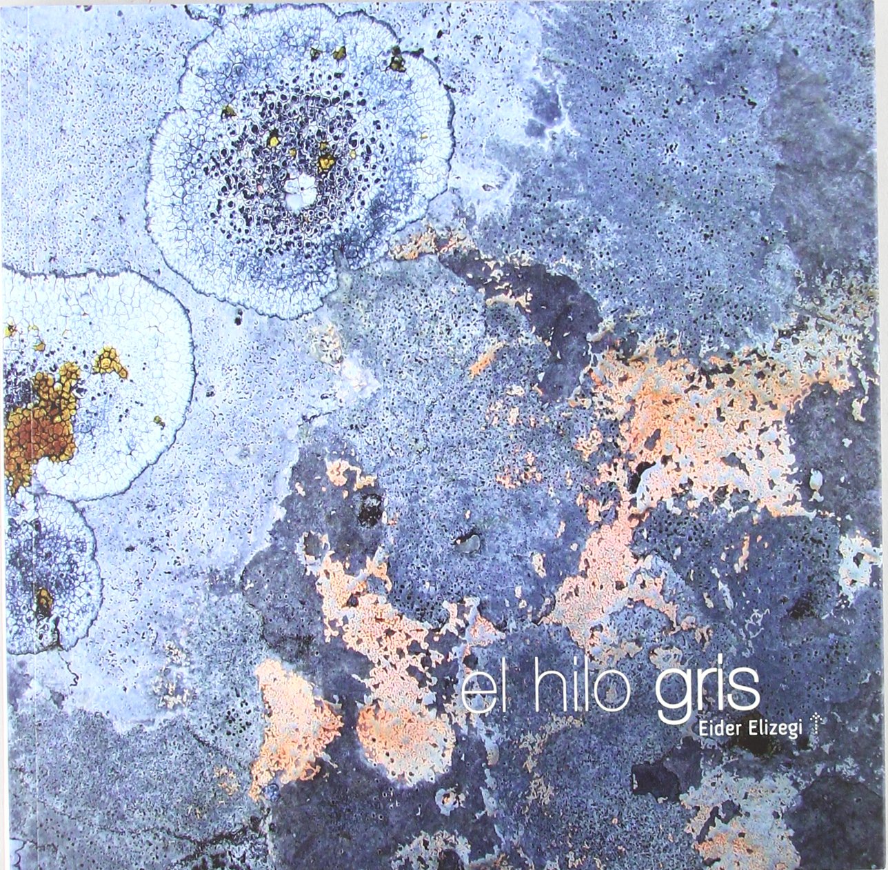 El hilo gris (SIN COLECCION)