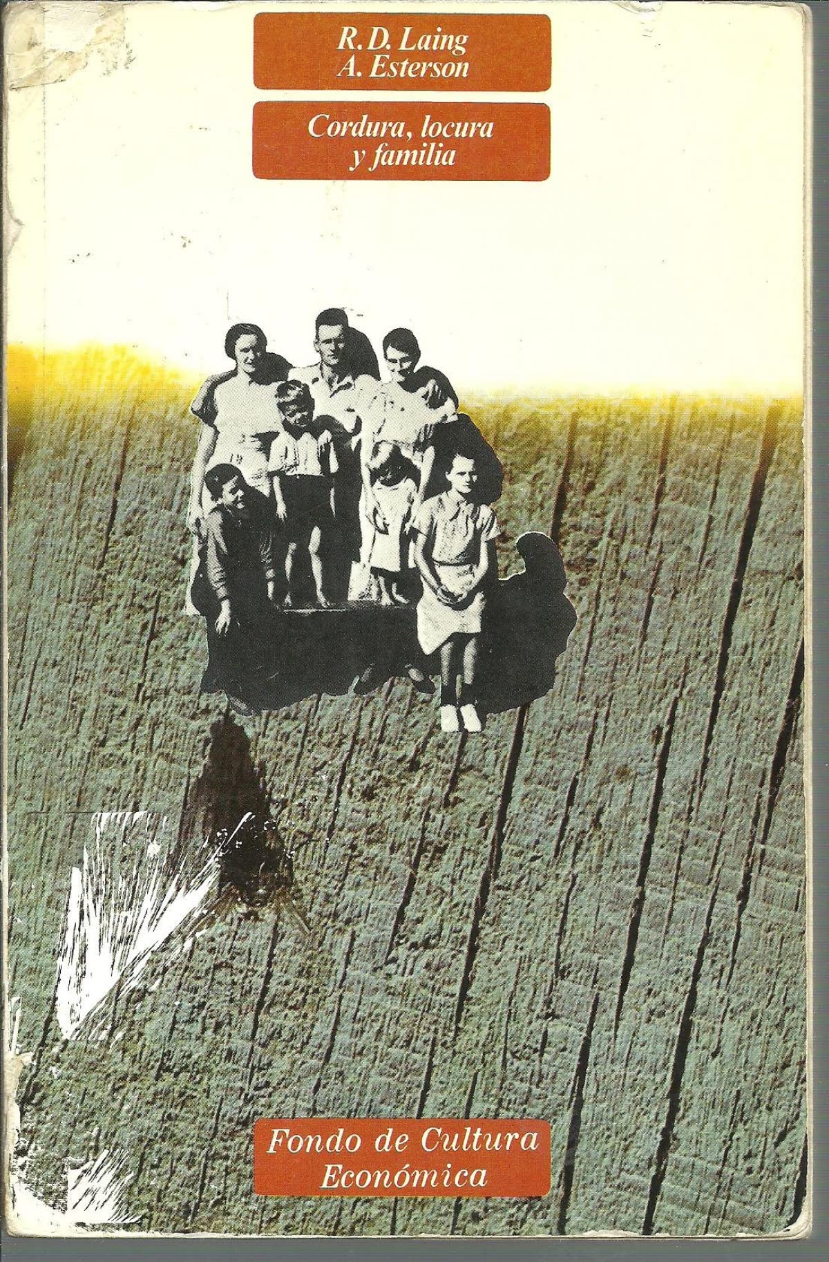 Cordura, locura y familia (Psicologia Y Psicoanalisis)