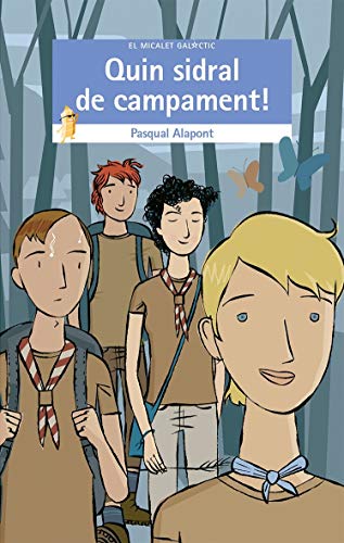 Quin sidral de campament!