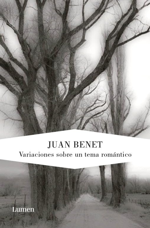 Variaciones sobre un tema romántico (Narrativa)