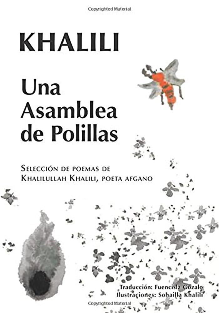 Una Asamblea de Polillas