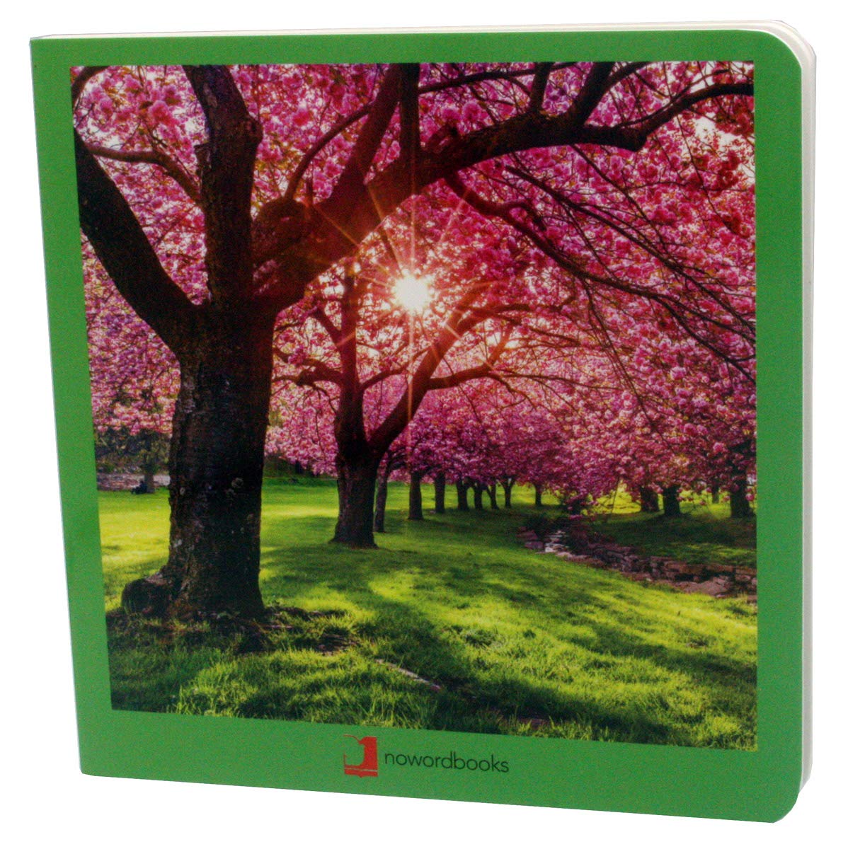 Primavera (Mis primeras Imágenes)