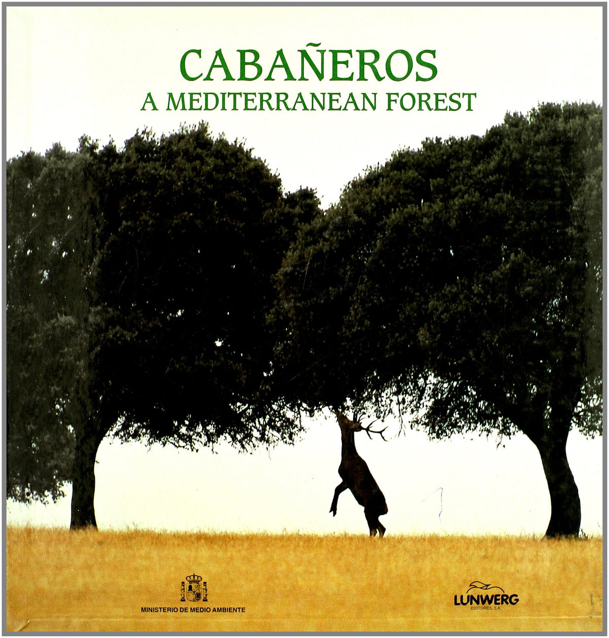 CABAÑEROS. UN BOSQUE MEDITERRANEO