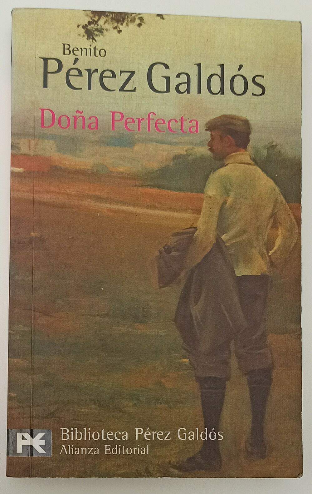 Dona Perfecta