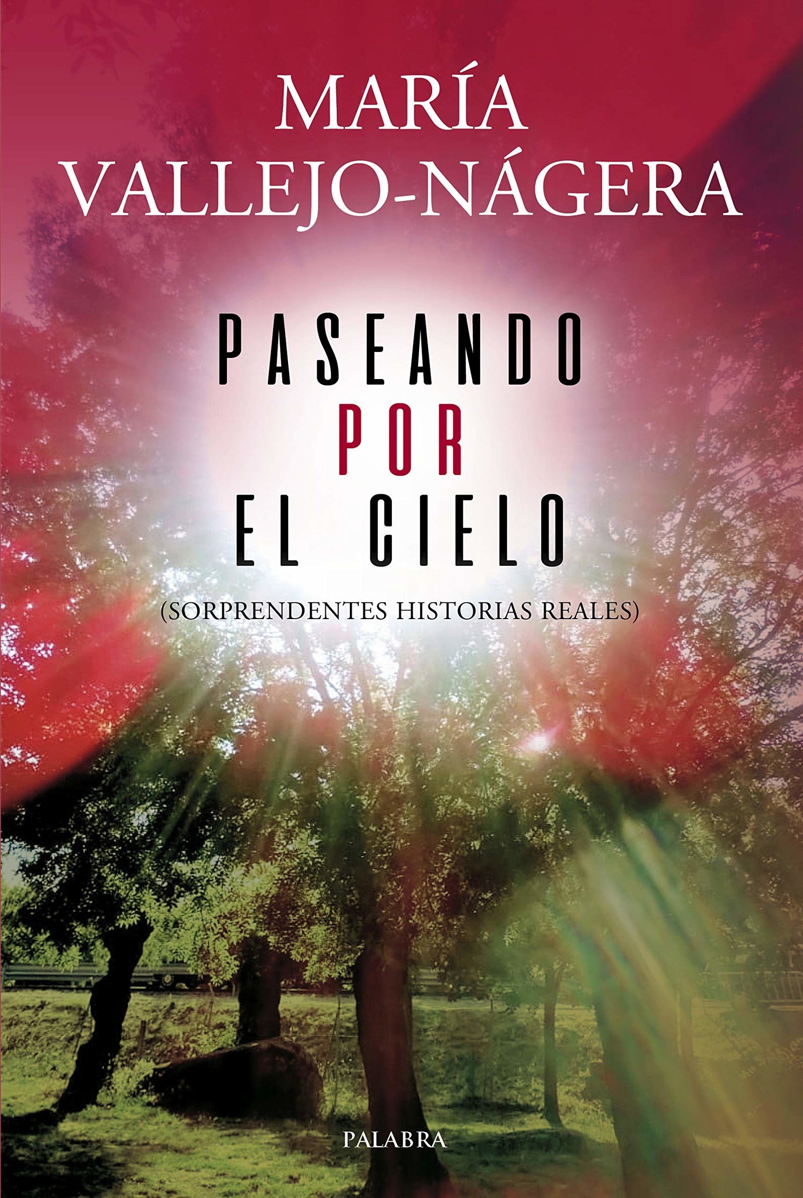 Paseando Por El Cielo: Sorprendentes historias reales (Palabra hoy)