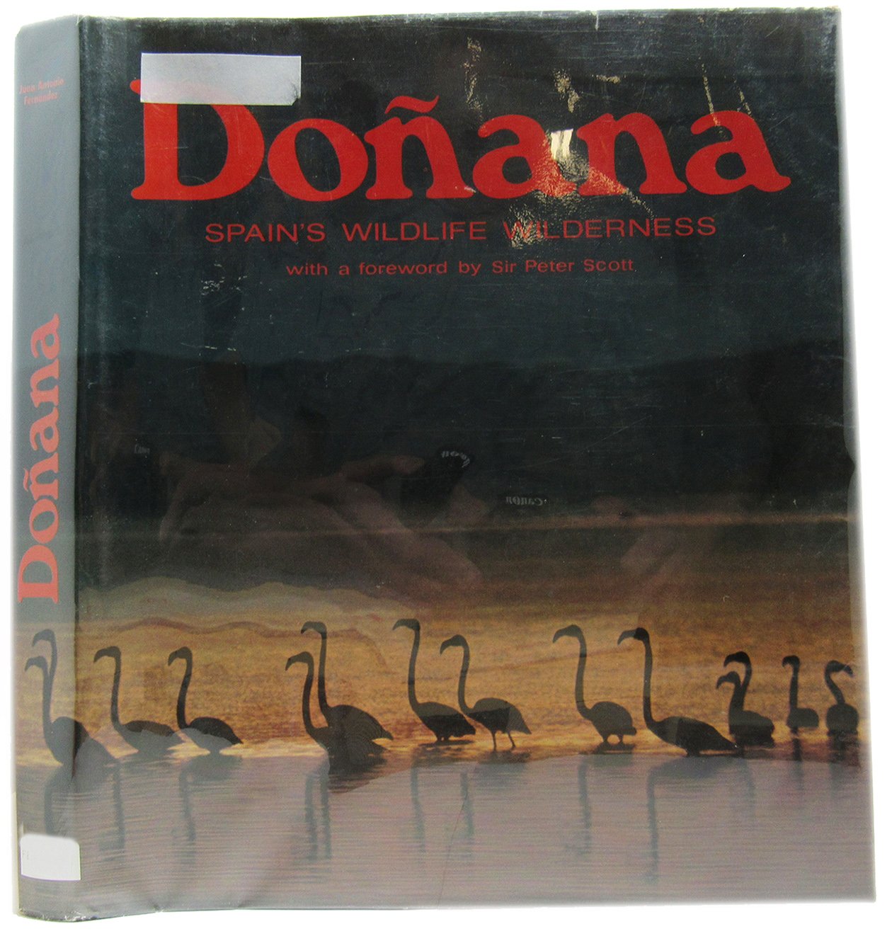 Doñana