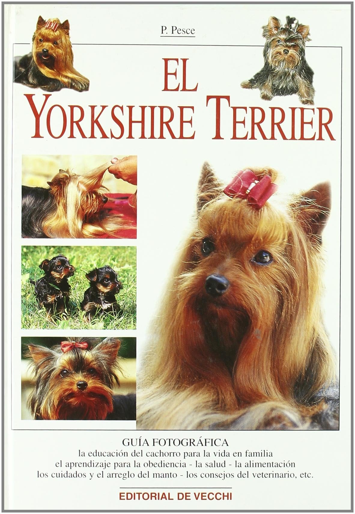 El yorkshire terrier