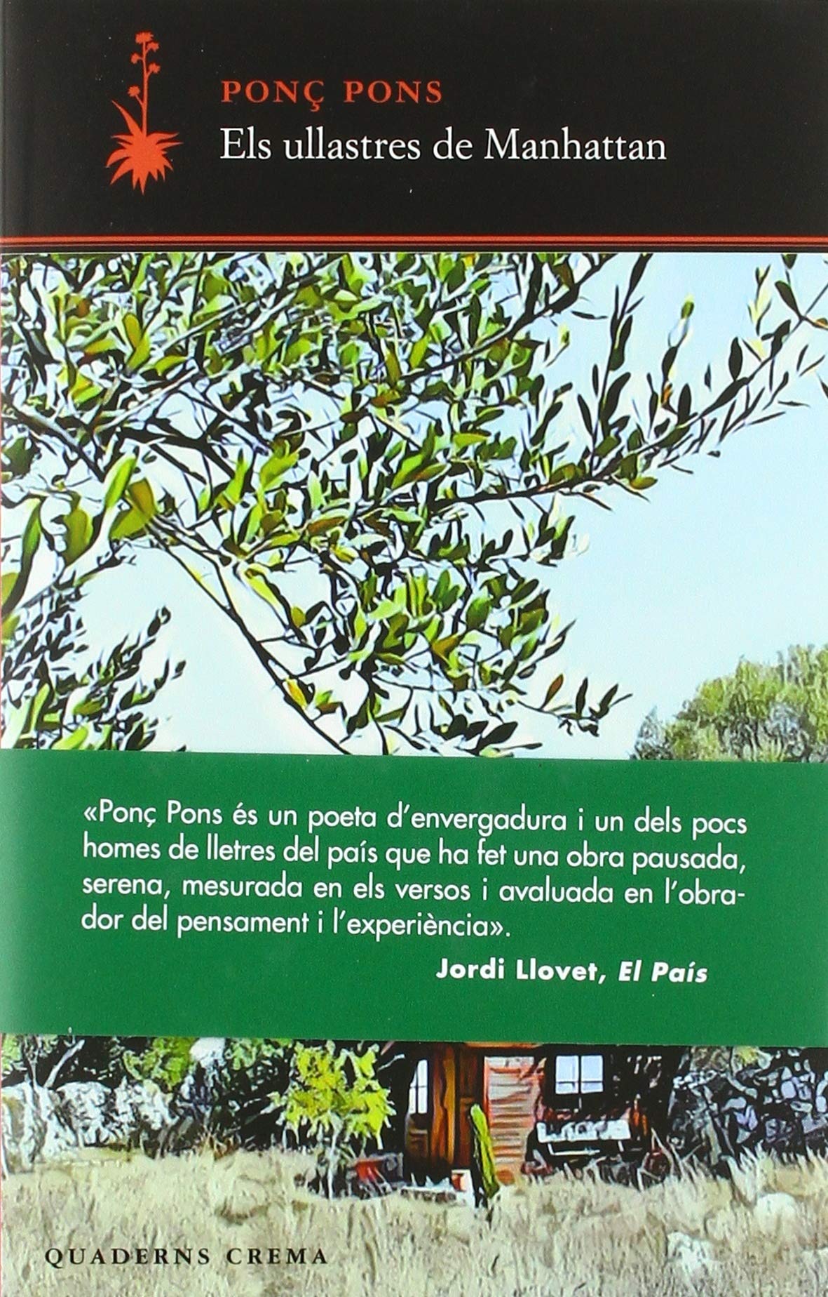 Els ullastres de Manhattan: 48 (D'un dia a l'altre)