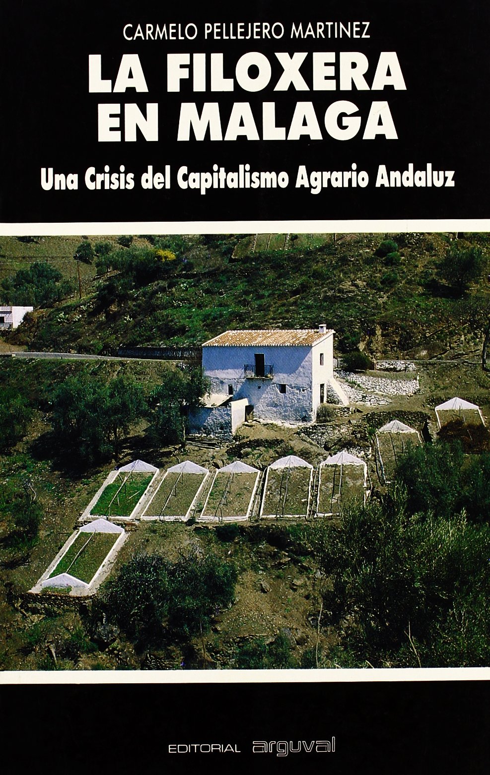 La filoxera en Málaga : una crisis del capitalismo agrario andaluz (TIERRAS DEL SUR)