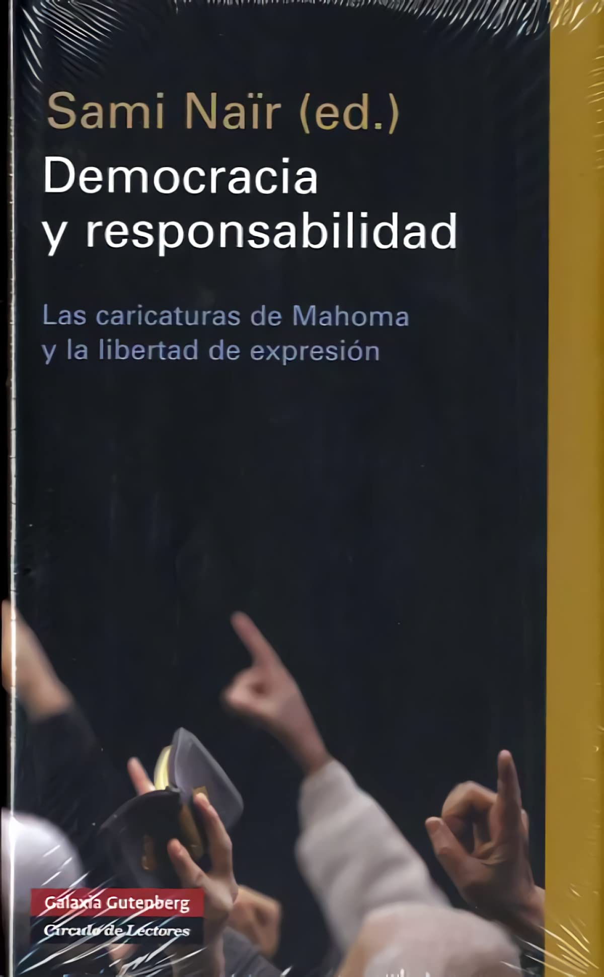 Democracia y responsabilidad (Ensayo)