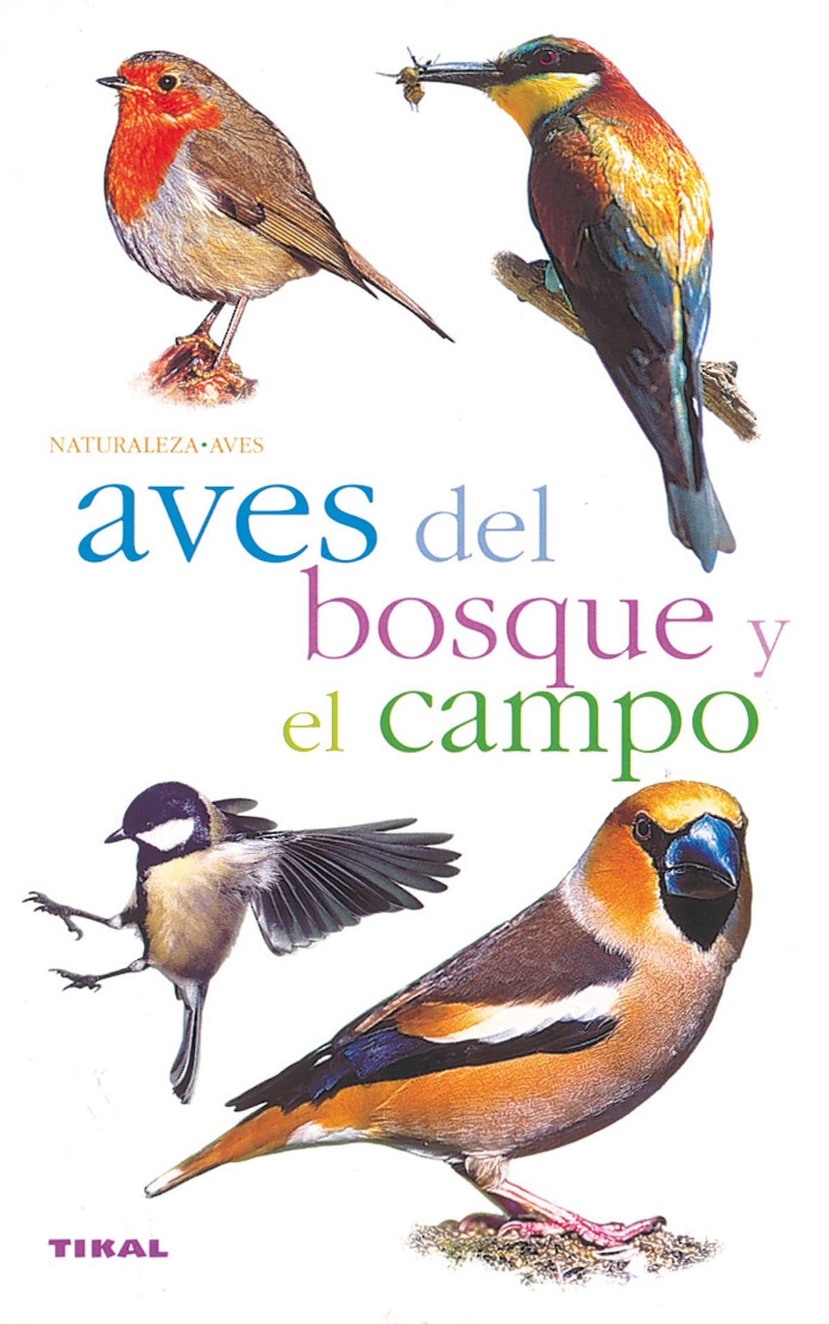 Aves del bosque y el campo