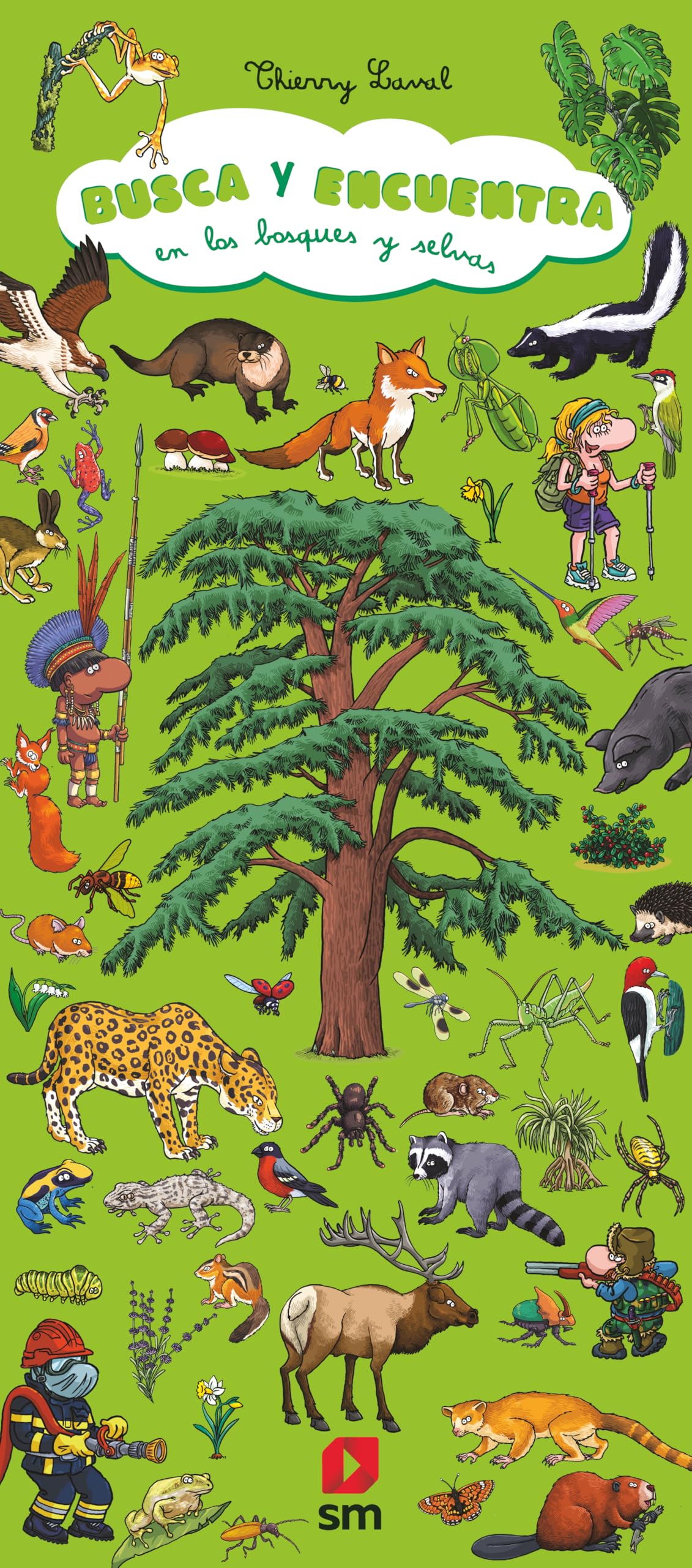 Busca y encuentra en los bosques y selvas-
