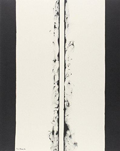 Fuego blanco: La colección moderna del Kunstmuseum Basel (CATALOGOS Y MONOGRAFIAS)