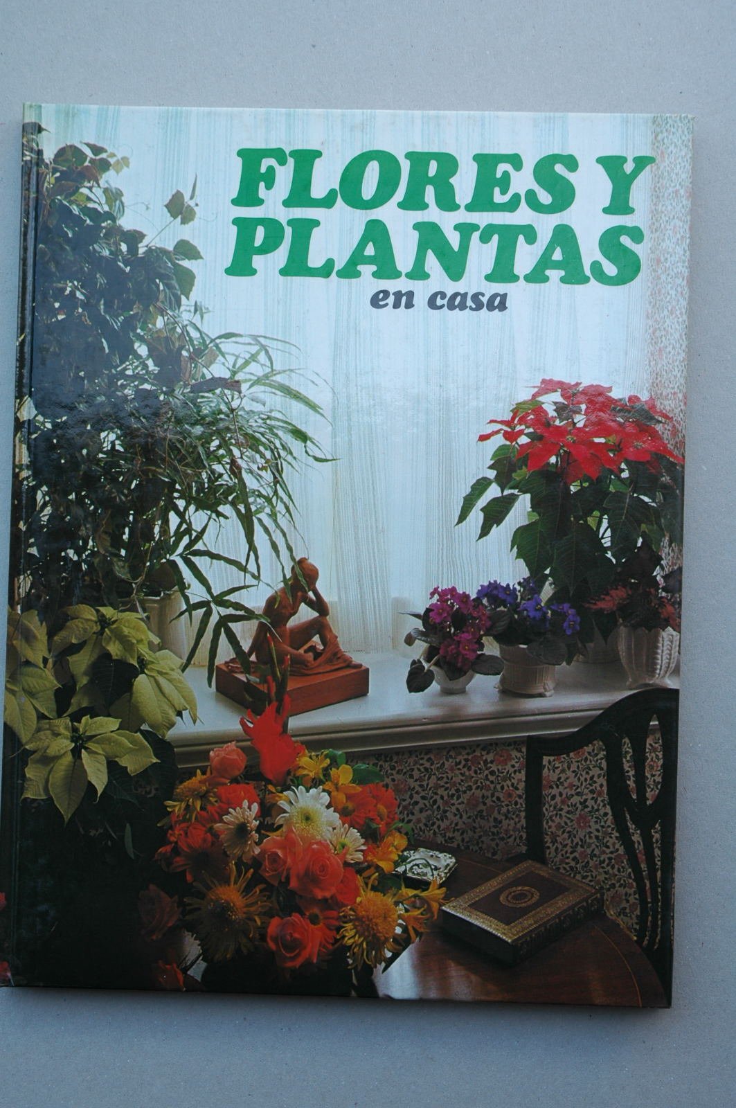 FLORES Y PLANTAS EN CASA