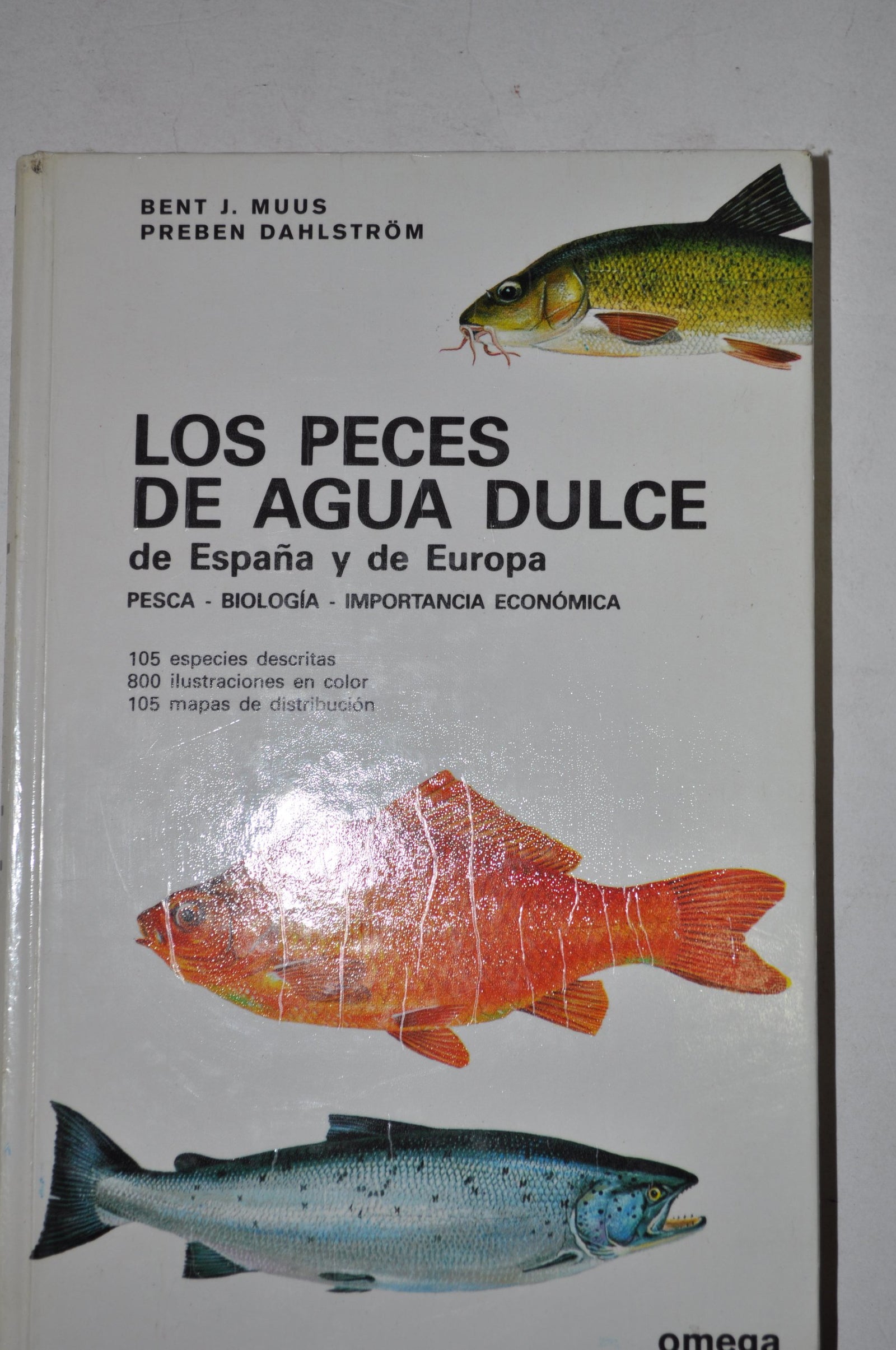 LOS PECES DE AGUA DULCE DE ESPAÑA (GUIAS DEL NATURALISTA-PECES-MOLUSCOS-BIOLOGIA MARINA)