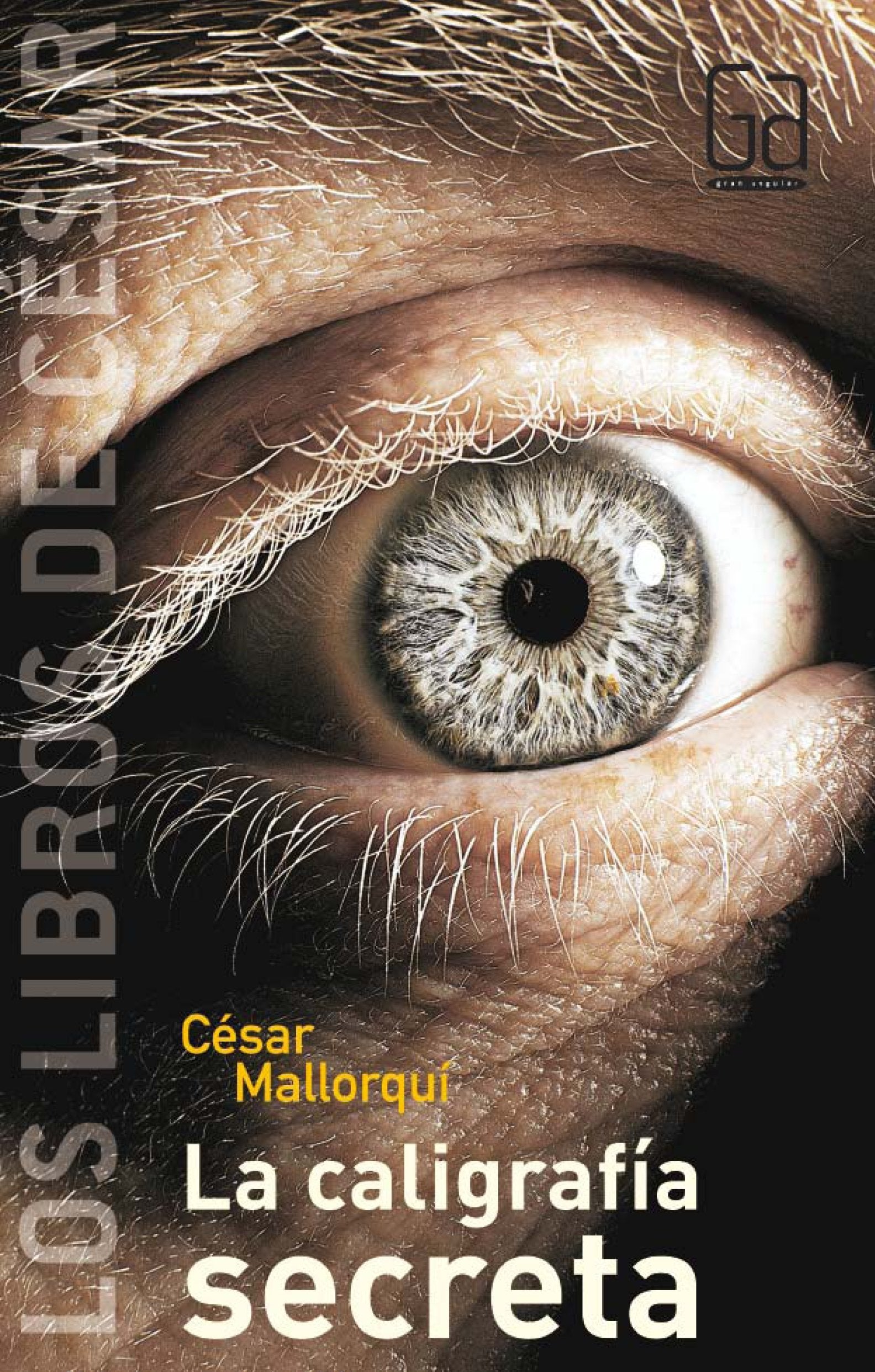 La caligrafía secreta (Los libros de…)
