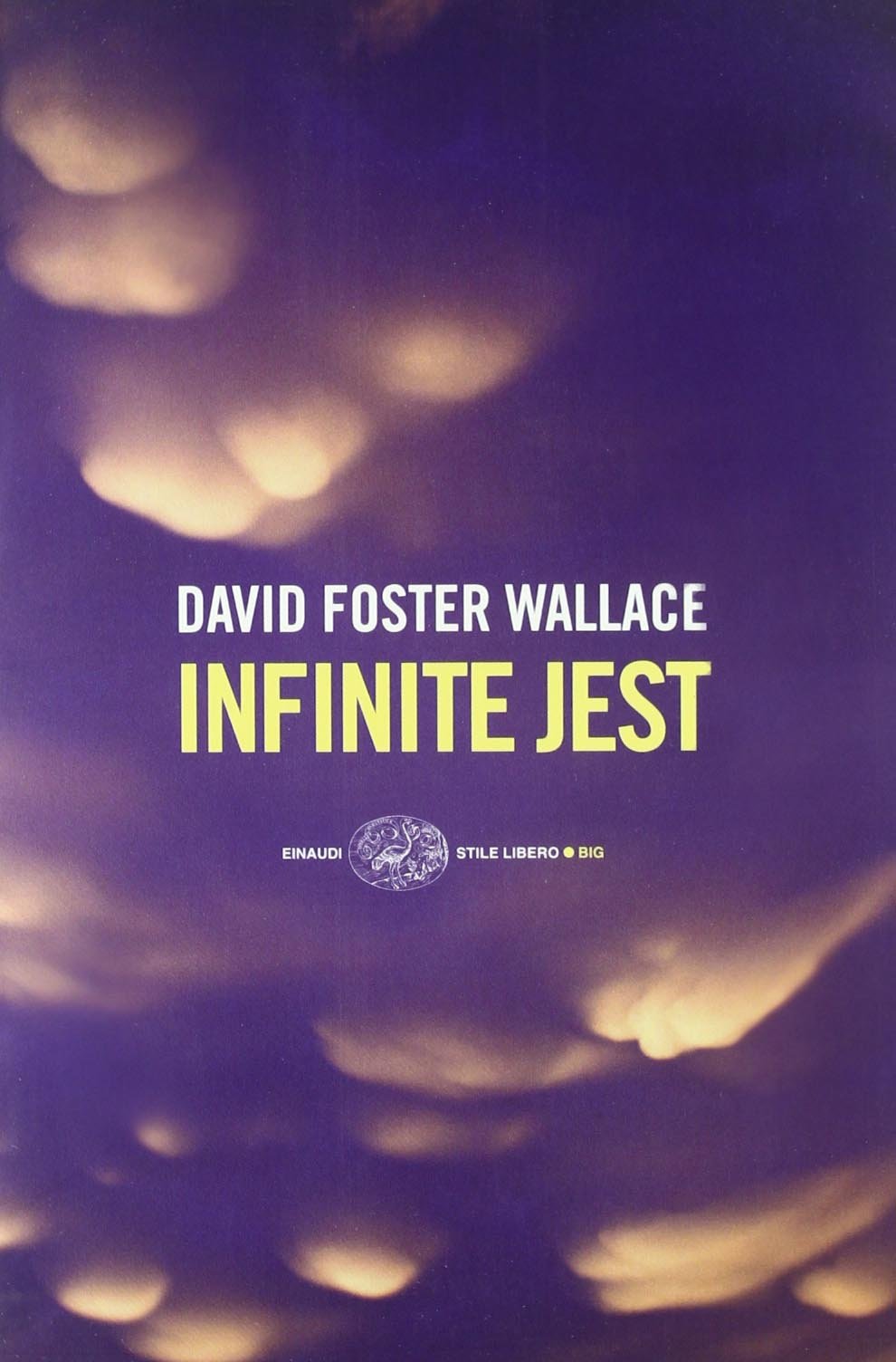 Infinite jest (Einaudi. Stile libero big)