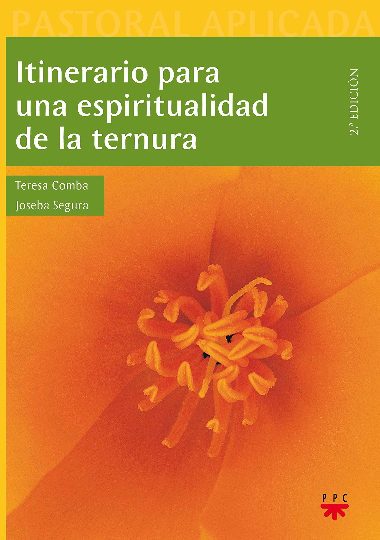 Itinerario Para Una Espiritualidad De La Ternura: 6 (Pastoral Aplicada)